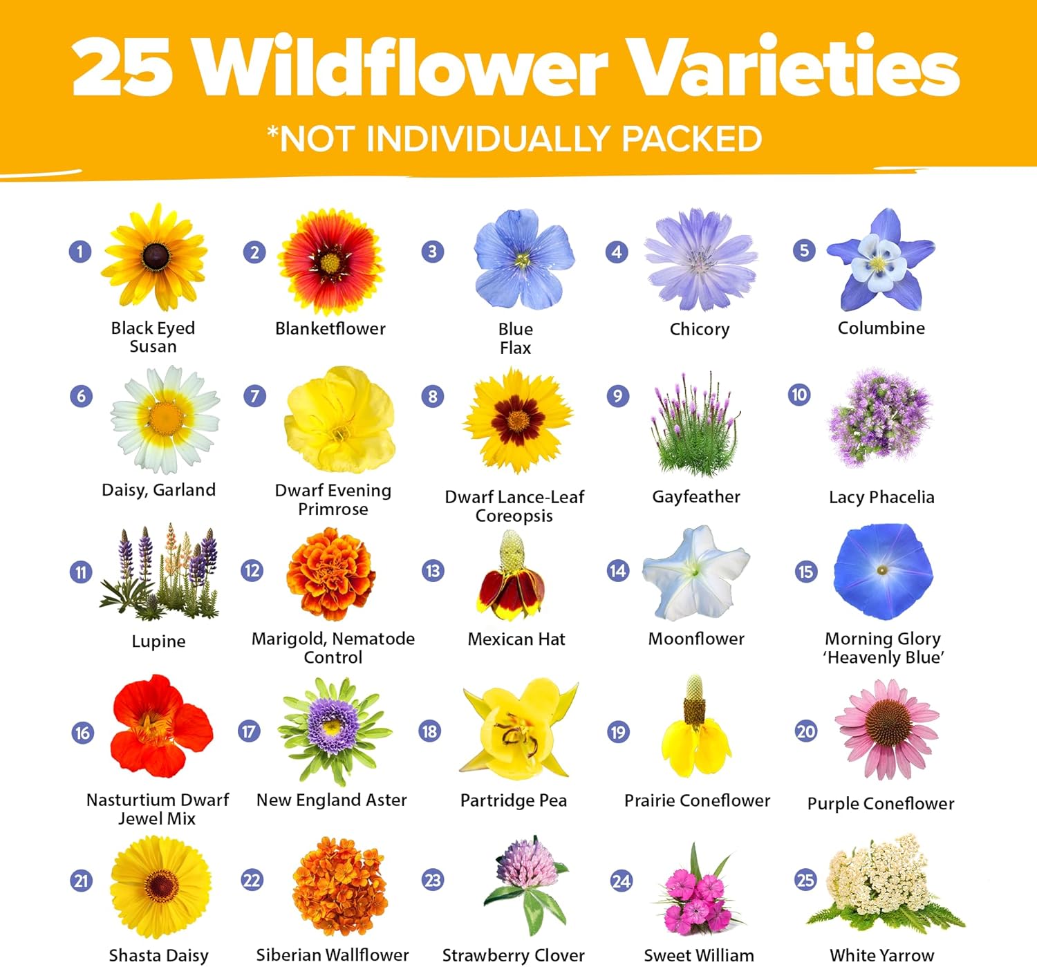 HOME GROWN Wildflower Seeds Mix - 47,400+ Non-GMO - 19 Perennial Flower Varieties for Planting Outdoors - Attract Butterflies & Birds - 3oz Wild Flower Seed Mix