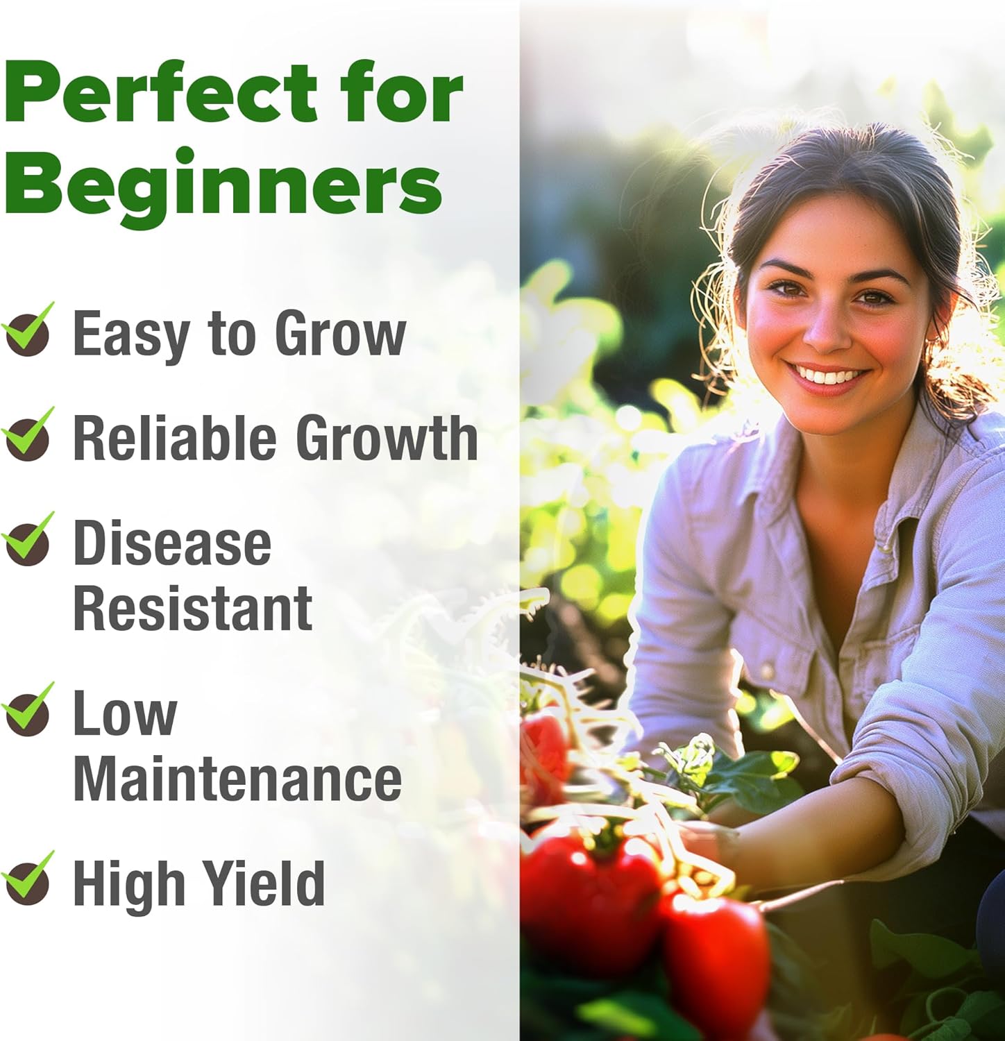 HOME GROWN English Lavender Seeds 1,500+ Non GMO Wildflower Seed for Planting Indoor/Outdoor, High Germination, Plant Flower Seeds (Lavandula antustifolia)