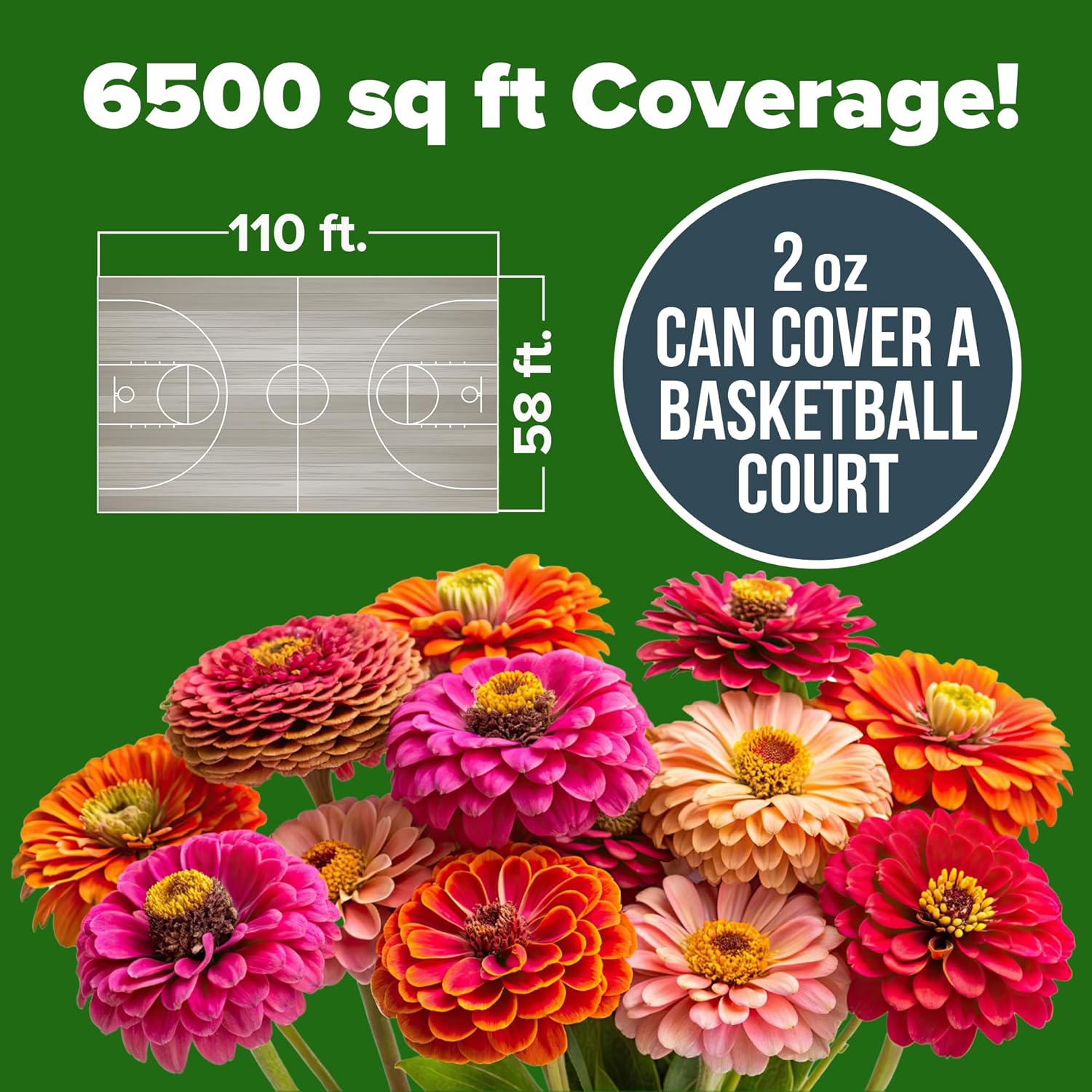 HOME GROWN English Lavender Seeds 1,500+ Non GMO Wildflower Seed for Planting Indoor/Outdoor, High Germination, Plant Flower Seeds (Lavandula antustifolia)