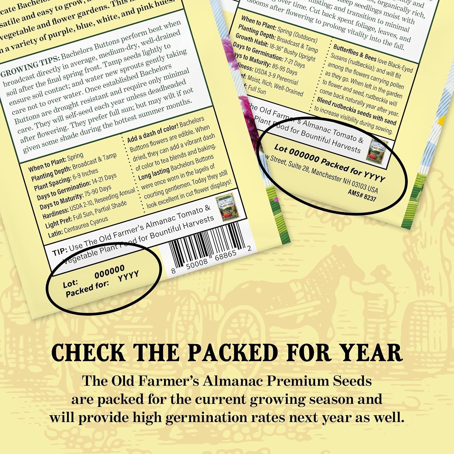 The Old Farmer's Almanac Heirloom Carrot Seeds (Tendersweet) - Approx 2600 Seeds - Non-GMO, Open Pollinated