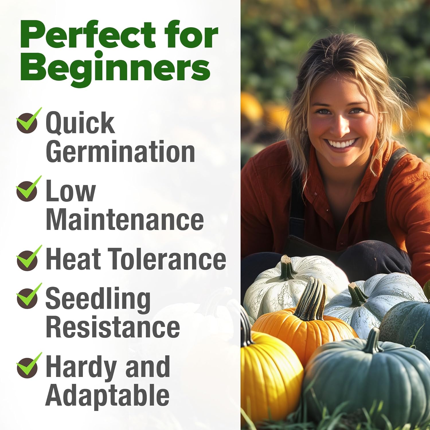 HOME GROWN English Lavender Seeds 1,500+ Non GMO Wildflower Seed for Planting Indoor/Outdoor, High Germination, Plant Flower Seeds (Lavandula antustifolia)