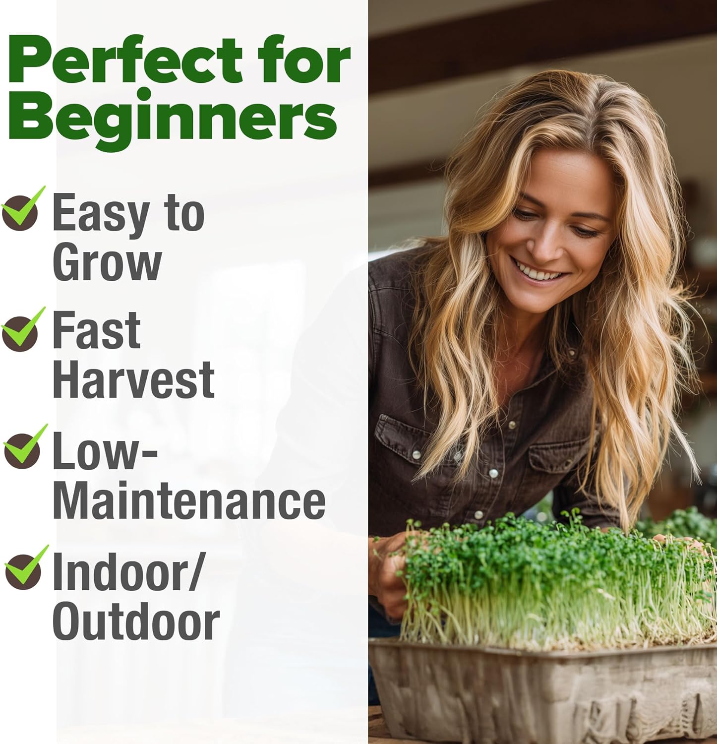 HOME GROWN English Lavender Seeds 1,500+ Non GMO Wildflower Seed for Planting Indoor/Outdoor, High Germination, Plant Flower Seeds (Lavandula antustifolia)