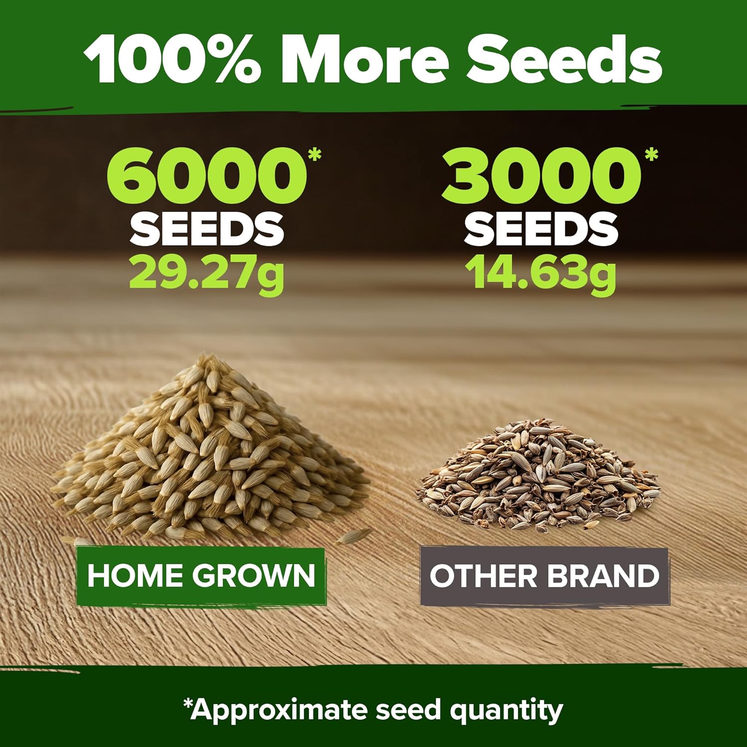 HOME GROWN English Lavender Seeds 1,500+ Non GMO Wildflower Seed for Planting Indoor/Outdoor, High Germination, Plant Flower Seeds (Lavandula antustifolia)