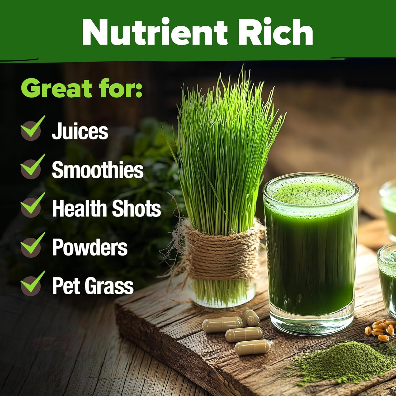 HOME GROWN English Lavender Seeds 1,500+ Non GMO Wildflower Seed for Planting Indoor/Outdoor, High Germination, Plant Flower Seeds (Lavandula antustifolia)