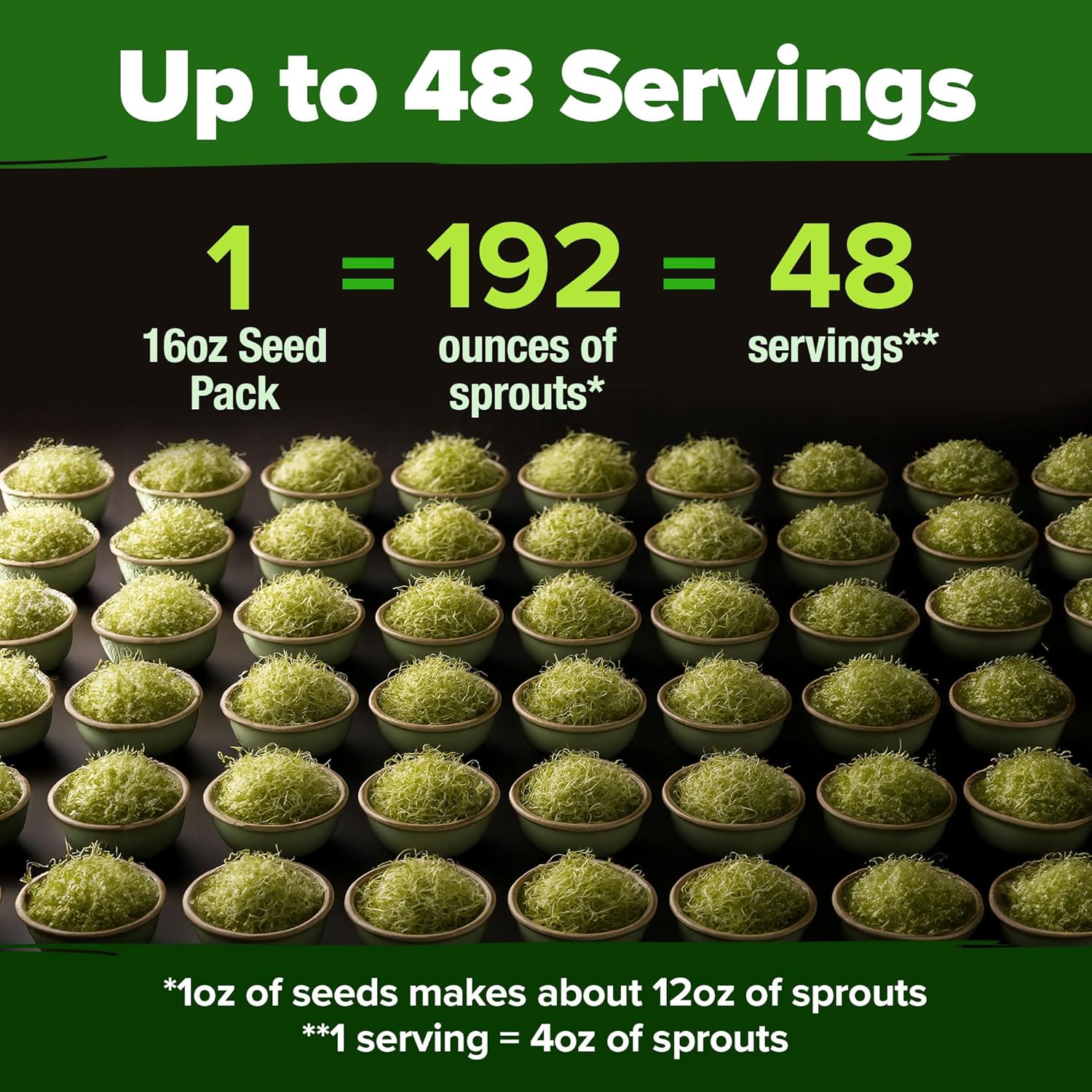 HOME GROWN English Lavender Seeds 1,500+ Non GMO Wildflower Seed for Planting Indoor/Outdoor, High Germination, Plant Flower Seeds (Lavandula antustifolia)