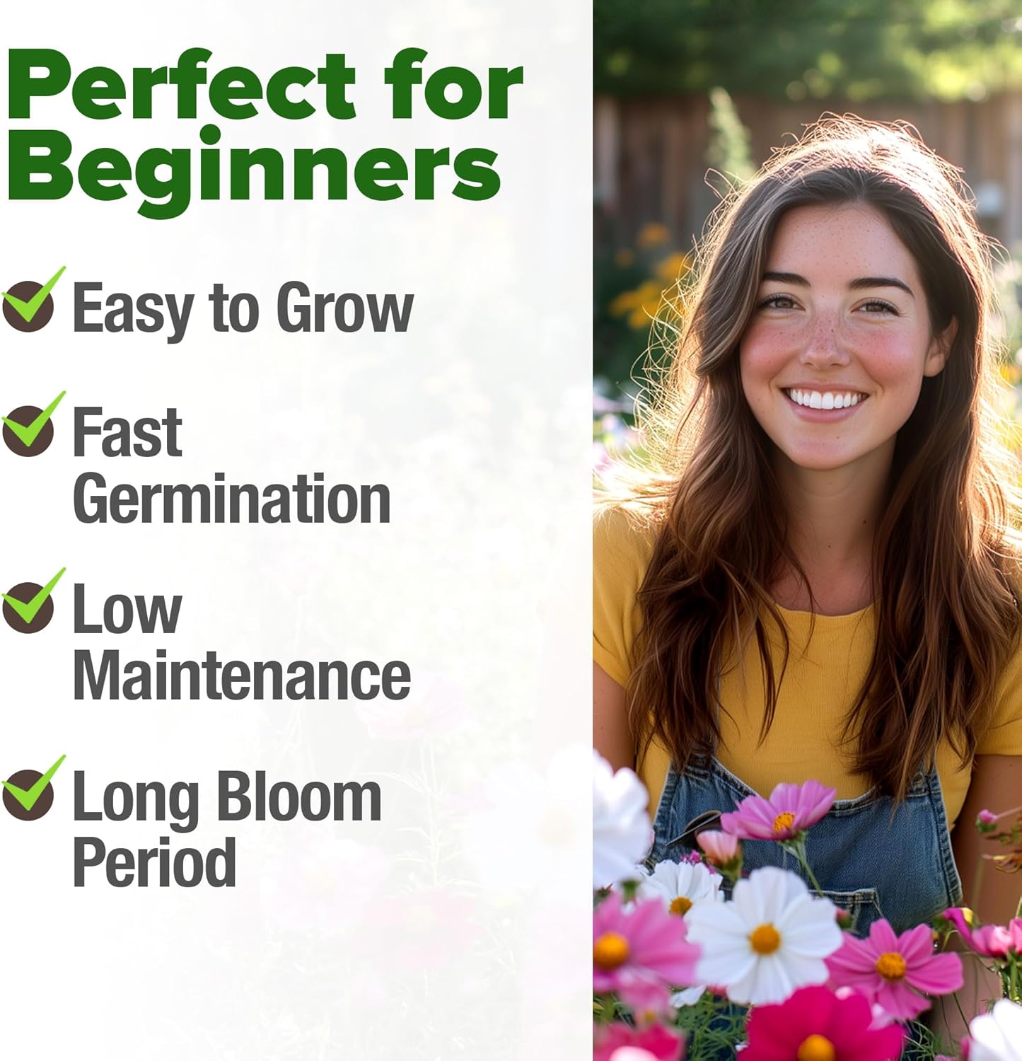 HOME GROWN English Lavender Seeds 1,500+ Non GMO Wildflower Seed for Planting Indoor/Outdoor, High Germination, Plant Flower Seeds (Lavandula antustifolia)