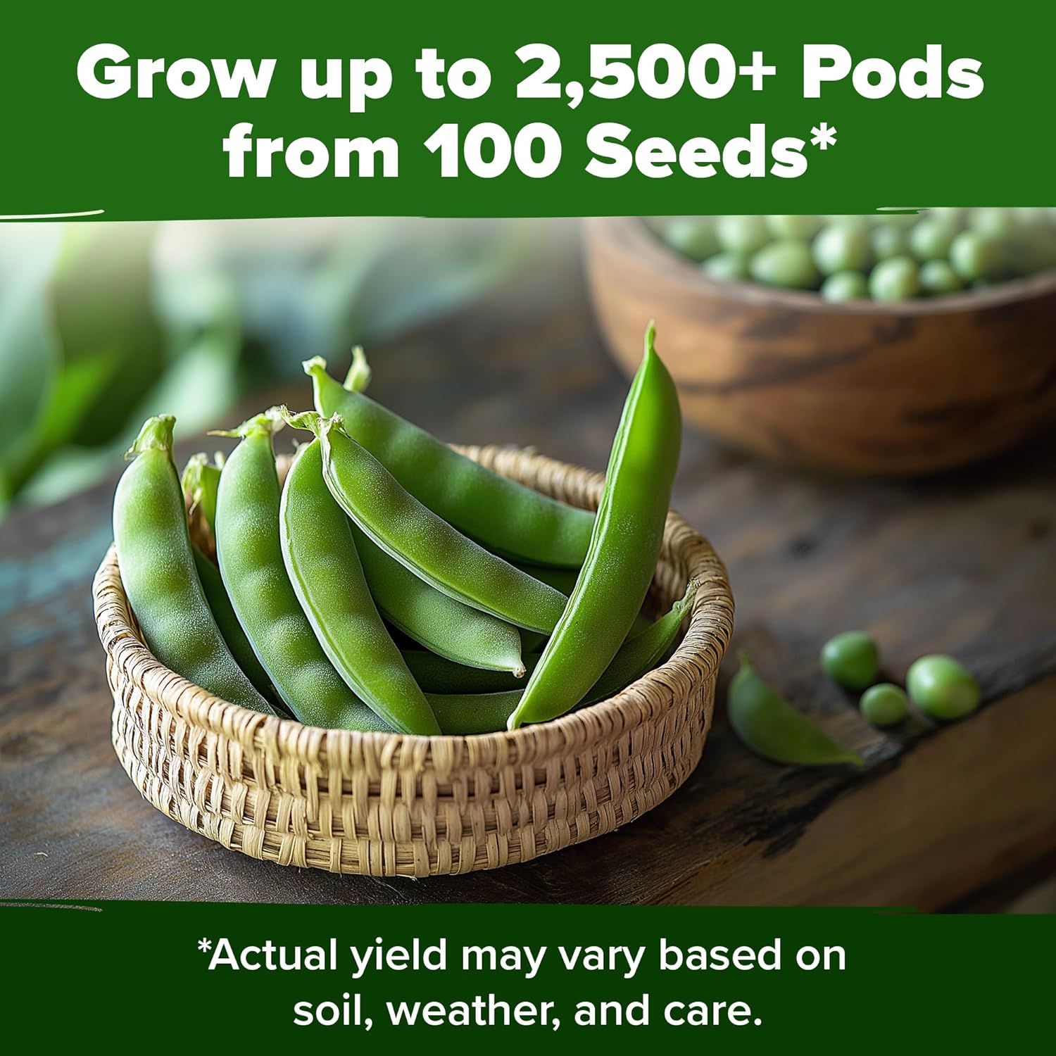 HOME GROWN English Lavender Seeds 1,500+ Non GMO Wildflower Seed for Planting Indoor/Outdoor, High Germination, Plant Flower Seeds (Lavandula antustifolia)