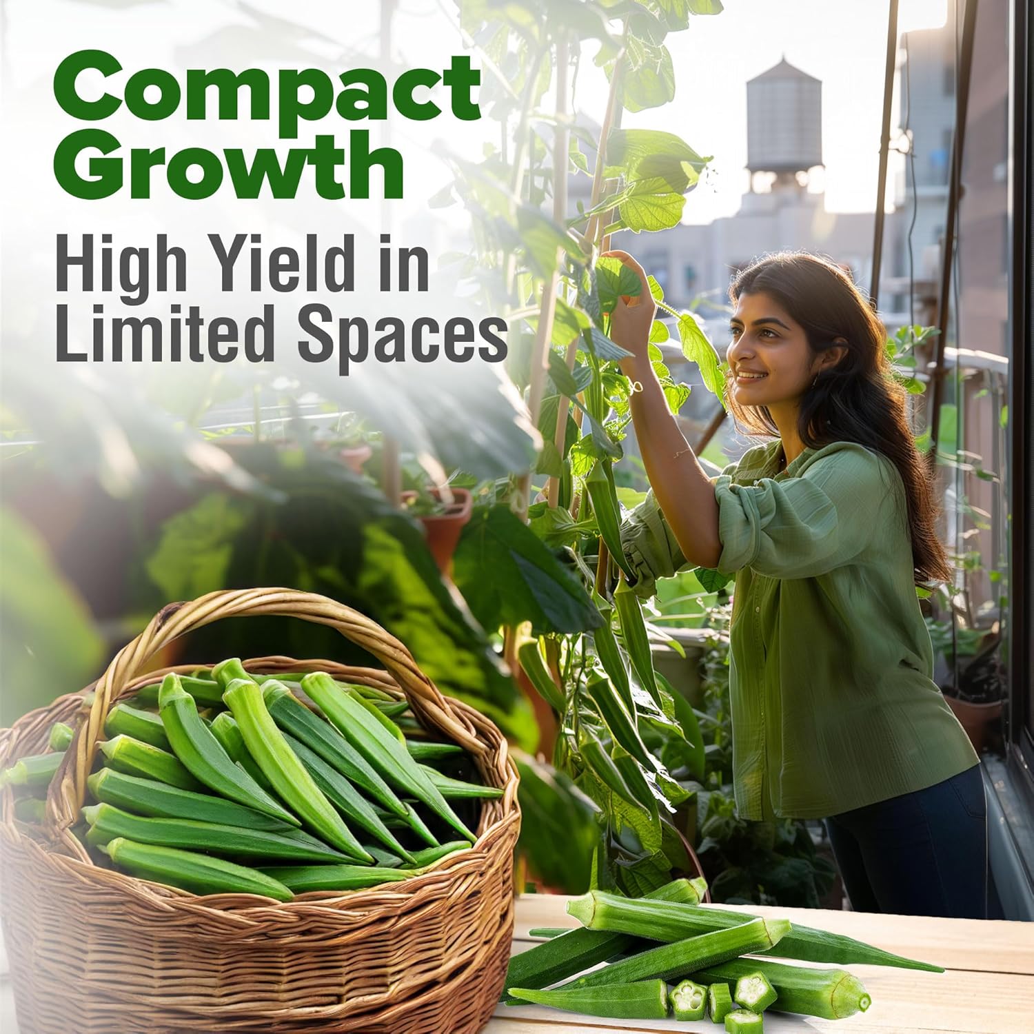 HOME GROWN English Lavender Seeds 1,500+ Non GMO Wildflower Seed for Planting Indoor/Outdoor, High Germination, Plant Flower Seeds (Lavandula antustifolia)