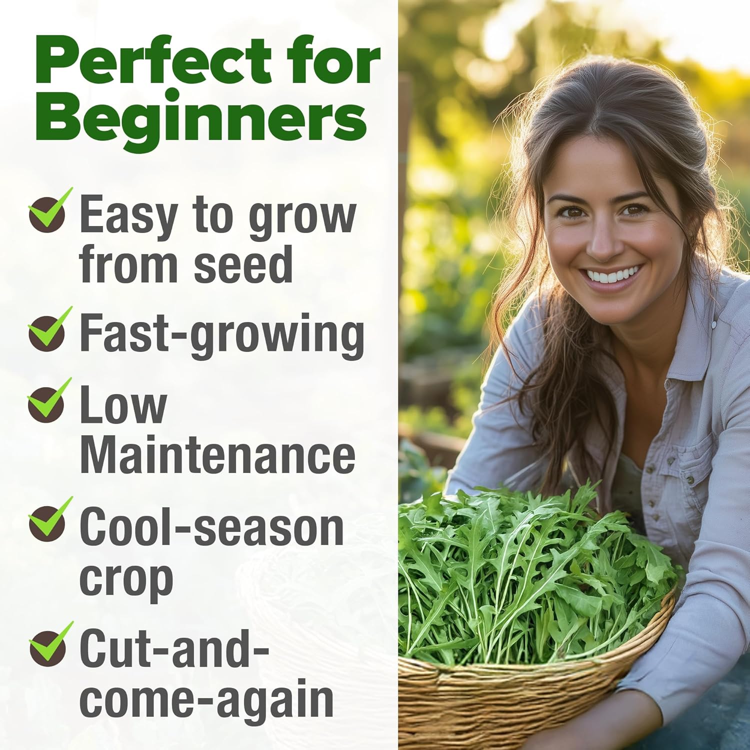 HOME GROWN English Lavender Seeds 1,500+ Non GMO Wildflower Seed for Planting Indoor/Outdoor, High Germination, Plant Flower Seeds (Lavandula antustifolia)