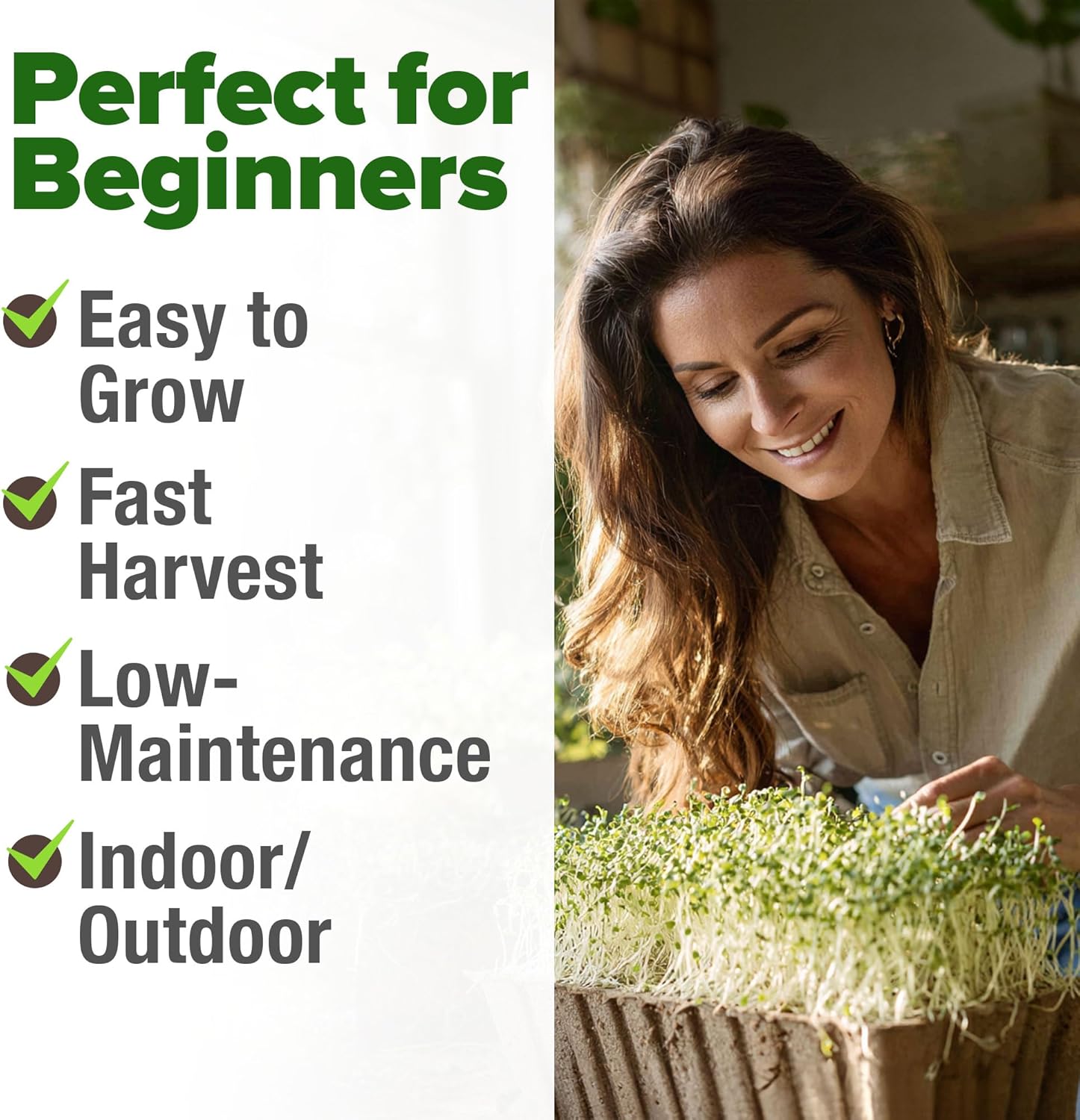 HOME GROWN English Lavender Seeds 1,500+ Non GMO Wildflower Seed for Planting Indoor/Outdoor, High Germination, Plant Flower Seeds (Lavandula antustifolia)