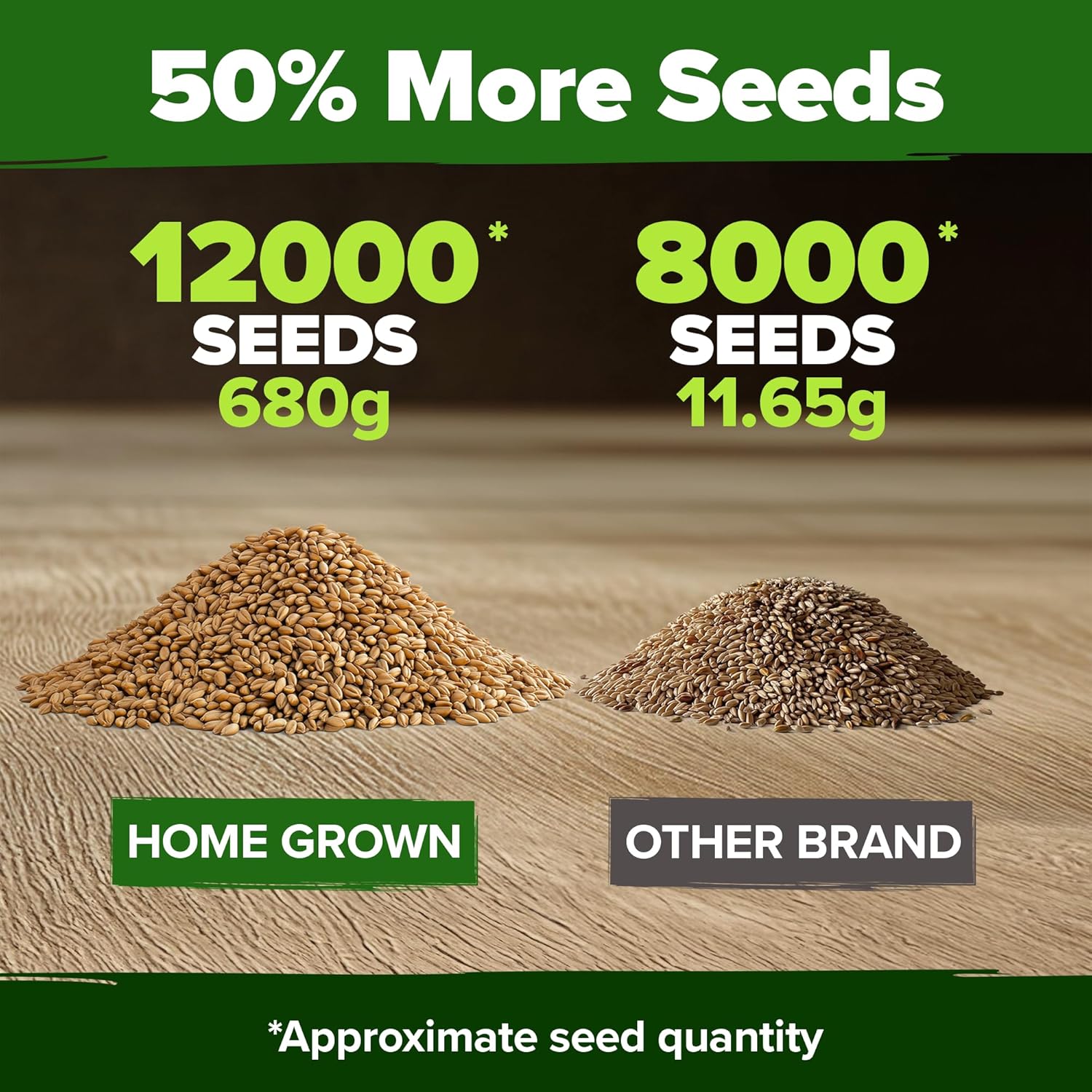 HOME GROWN English Lavender Seeds 1,500+ Non GMO Wildflower Seed for Planting Indoor/Outdoor, High Germination, Plant Flower Seeds (Lavandula antustifolia)