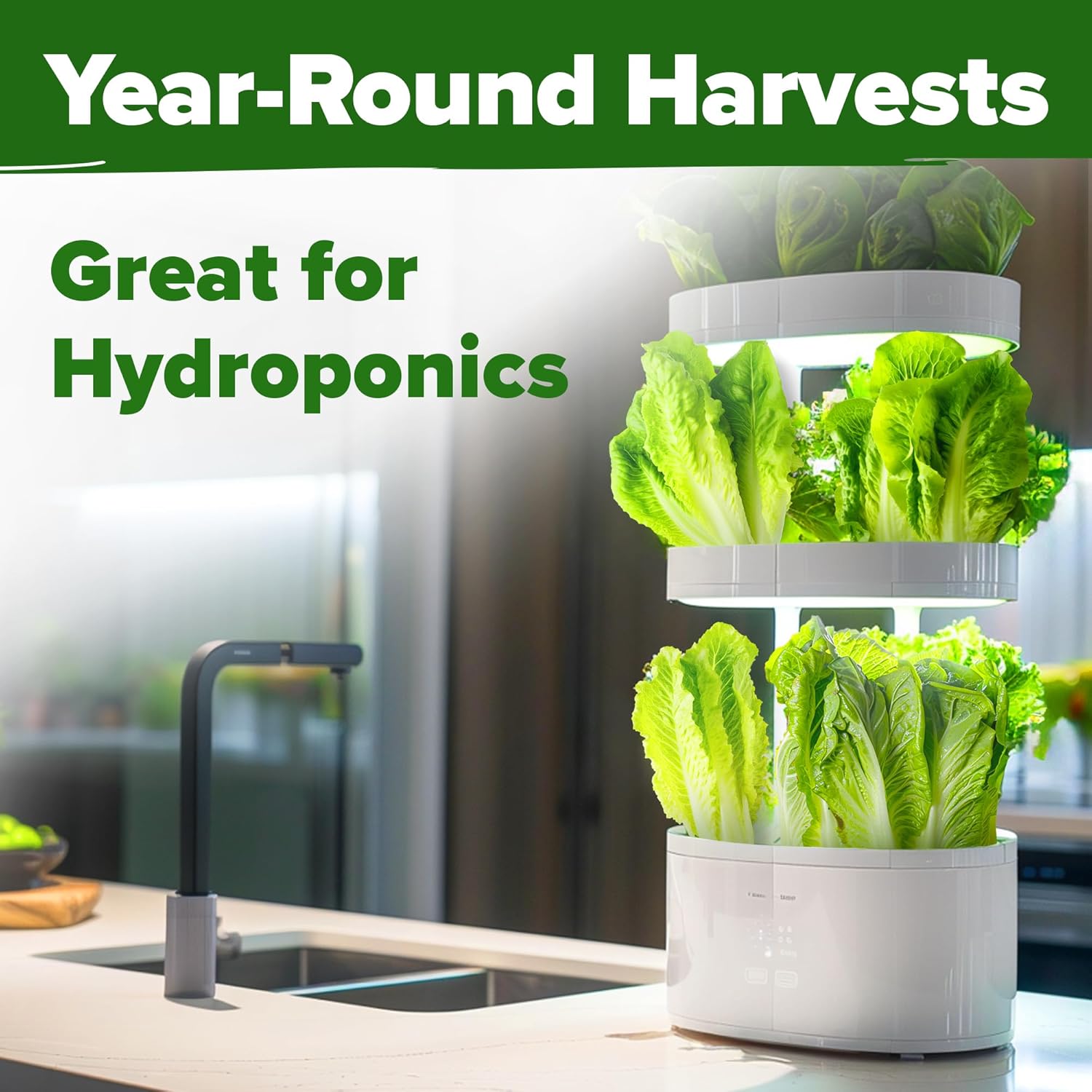 HOME GROWN English Lavender Seeds 1,500+ Non GMO Wildflower Seed for Planting Indoor/Outdoor, High Germination, Plant Flower Seeds (Lavandula antustifolia)