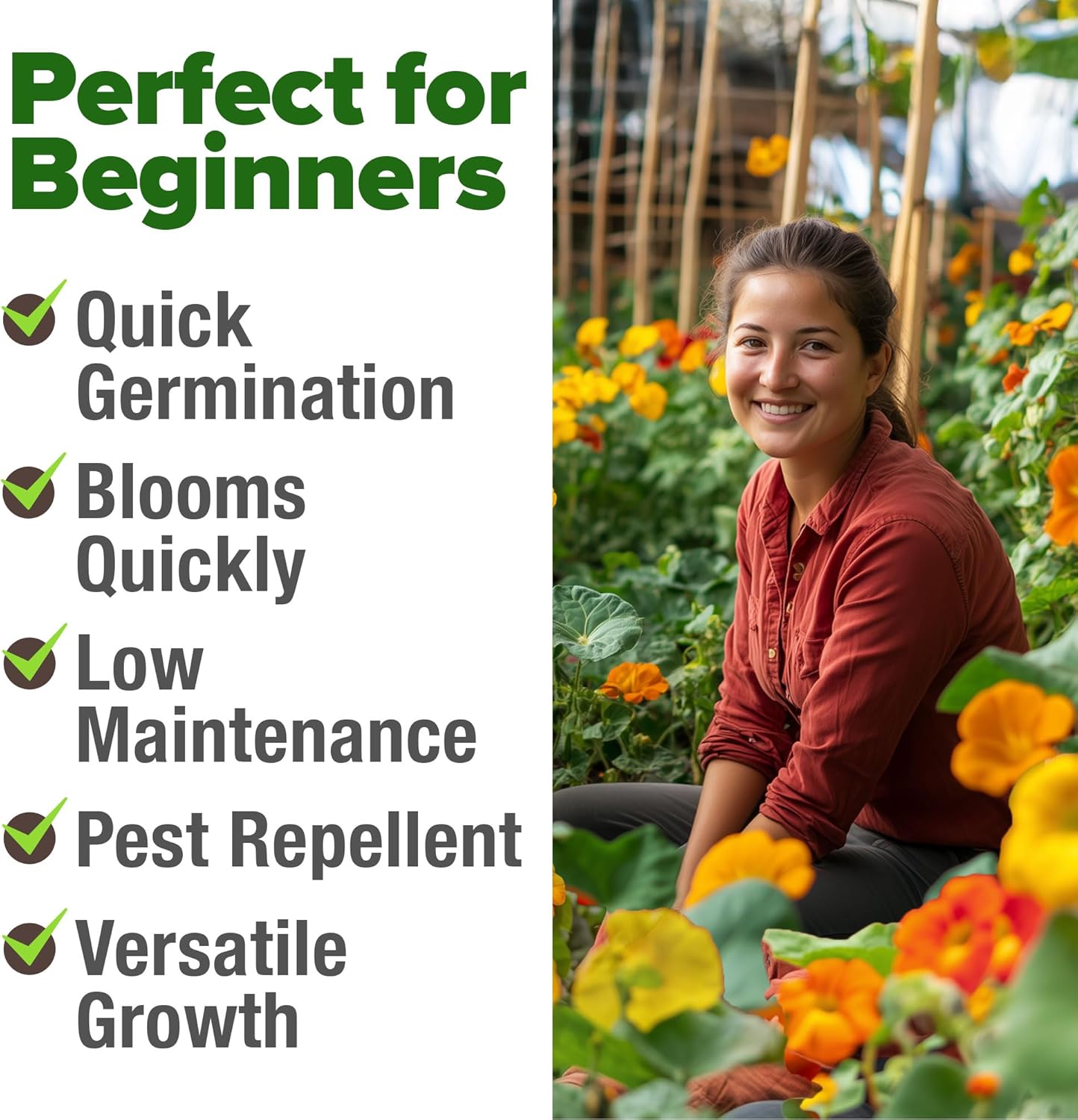 HOME GROWN English Lavender Seeds 1,500+ Non GMO Wildflower Seed for Planting Indoor/Outdoor, High Germination, Plant Flower Seeds (Lavandula antustifolia)