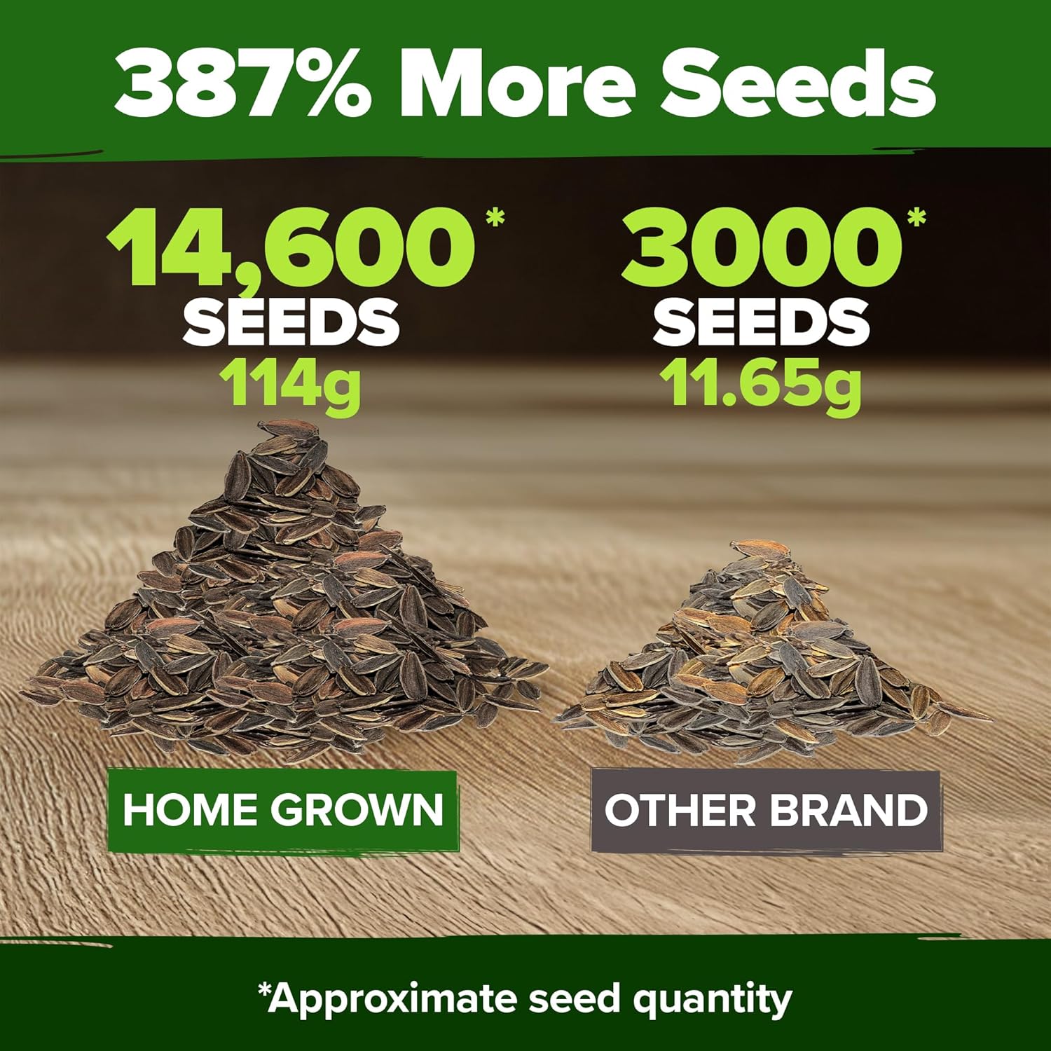 HOME GROWN English Lavender Seeds 1,500+ Non GMO Wildflower Seed for Planting Indoor/Outdoor, High Germination, Plant Flower Seeds (Lavandula antustifolia)