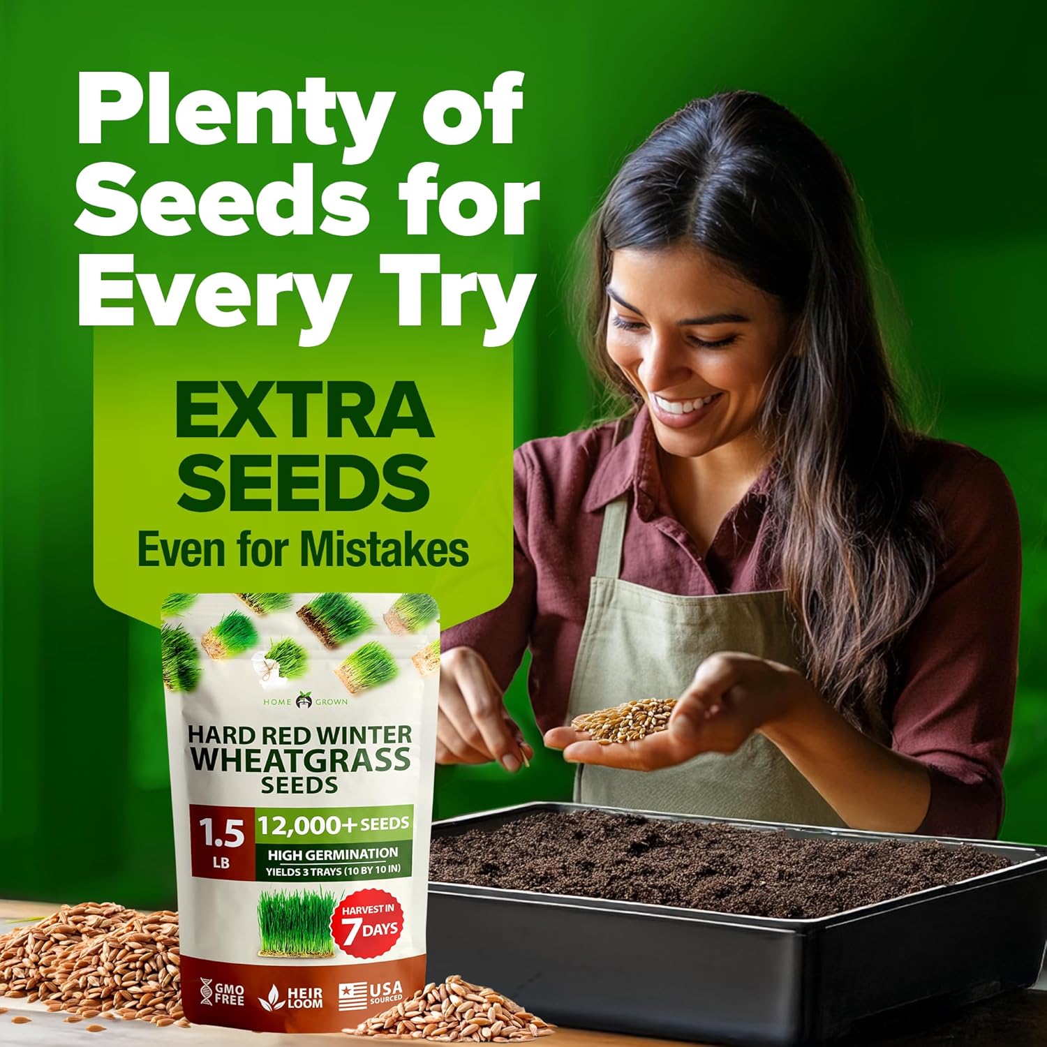 HOME GROWN English Lavender Seeds 1,500+ Non GMO Wildflower Seed for Planting Indoor/Outdoor, High Germination, Plant Flower Seeds (Lavandula antustifolia)