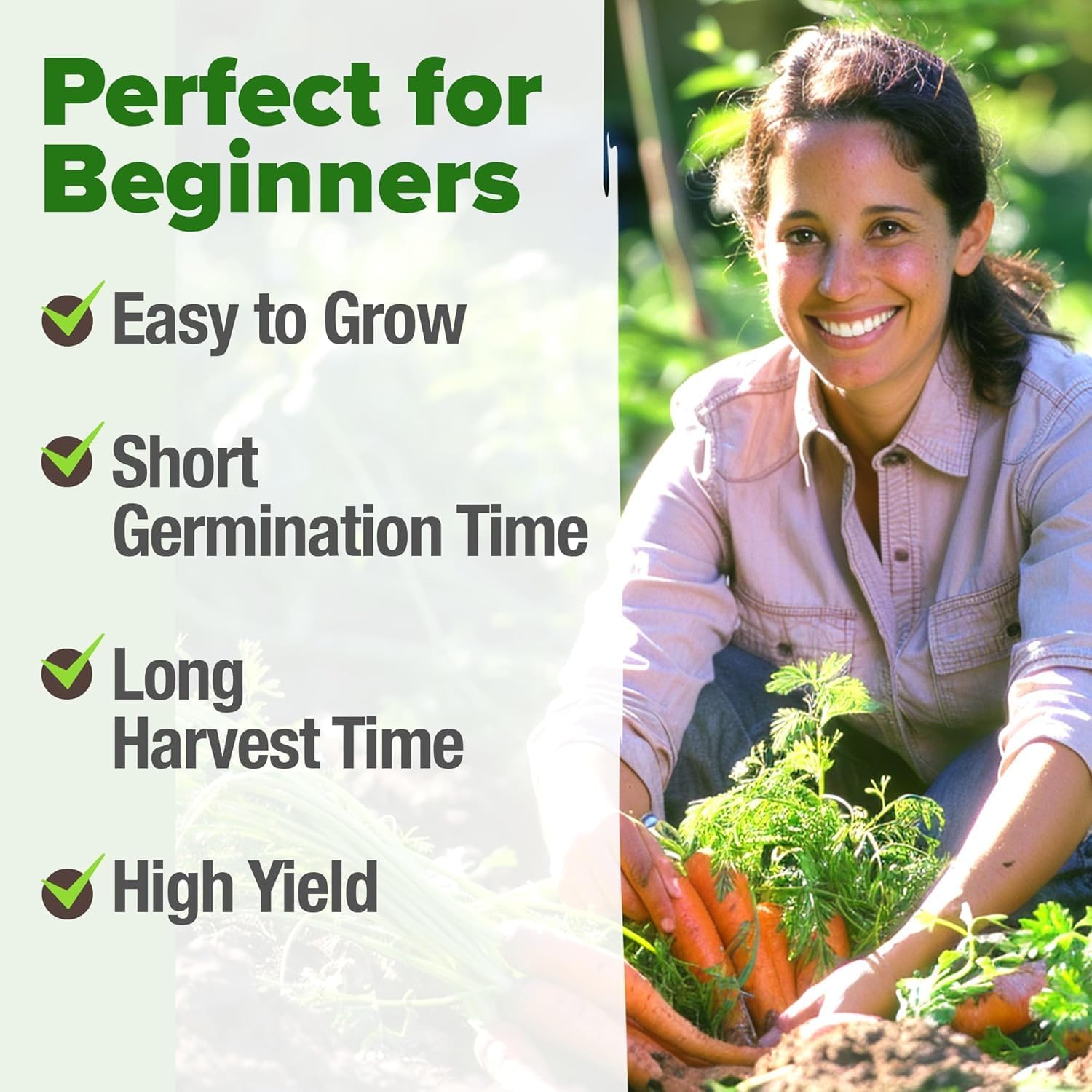 HOME GROWN English Lavender Seeds 1,500+ Non GMO Wildflower Seed for Planting Indoor/Outdoor, High Germination, Plant Flower Seeds (Lavandula antustifolia)