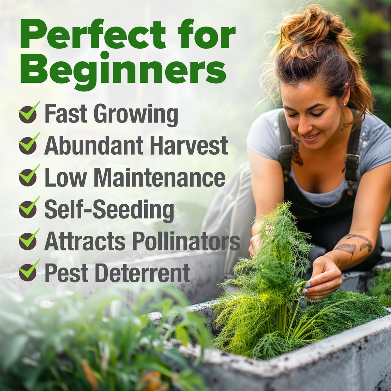 HOME GROWN English Lavender Seeds 1,500+ Non GMO Wildflower Seed for Planting Indoor/Outdoor, High Germination, Plant Flower Seeds (Lavandula antustifolia)