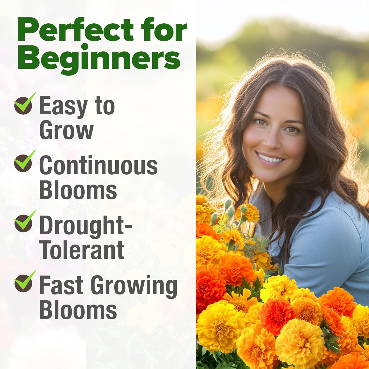 HOME GROWN English Lavender Seeds 1,500+ Non GMO Wildflower Seed for Planting Indoor/Outdoor, High Germination, Plant Flower Seeds (Lavandula antustifolia)