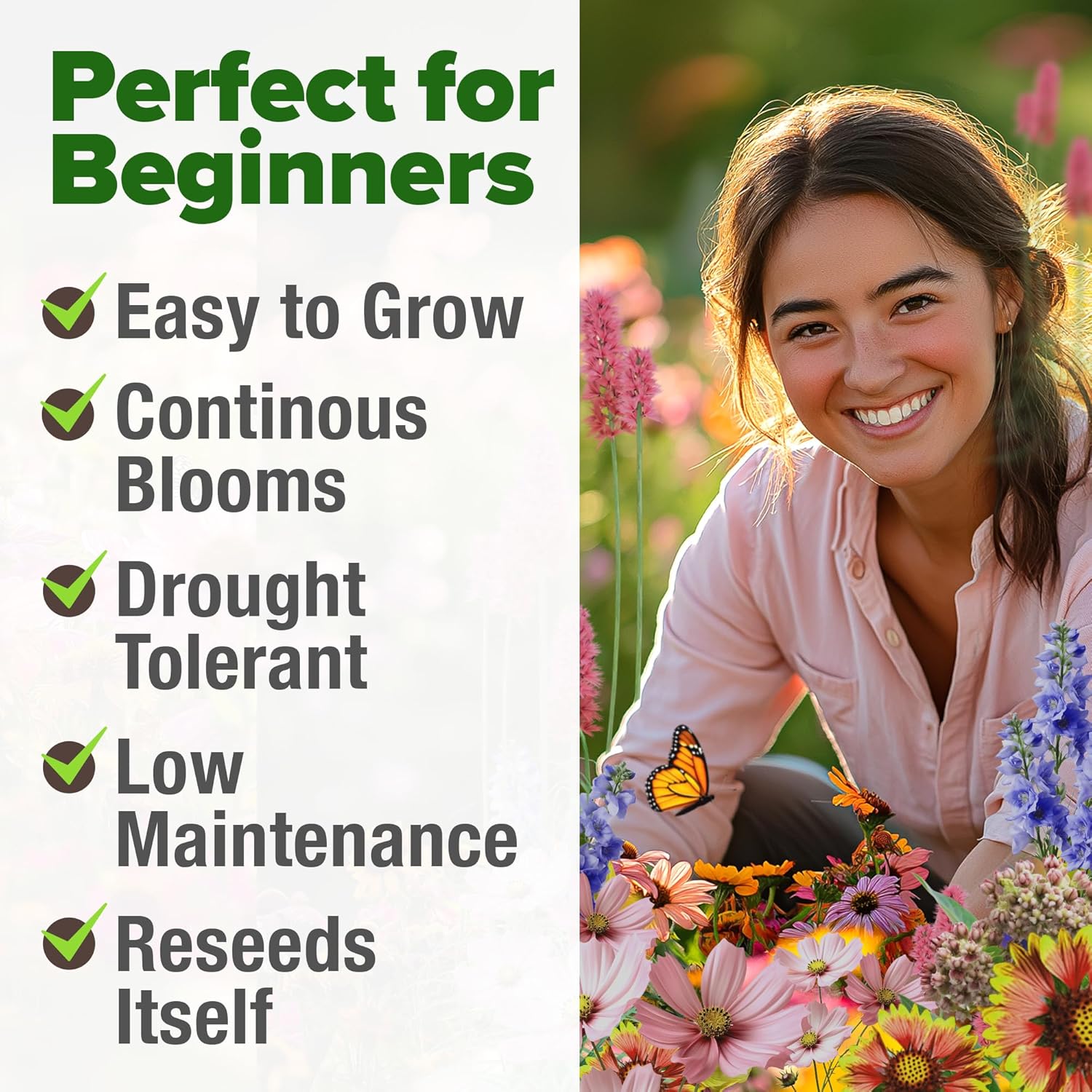 HOME GROWN English Lavender Seeds 1,500+ Non GMO Wildflower Seed for Planting Indoor/Outdoor, High Germination, Plant Flower Seeds (Lavandula antustifolia)