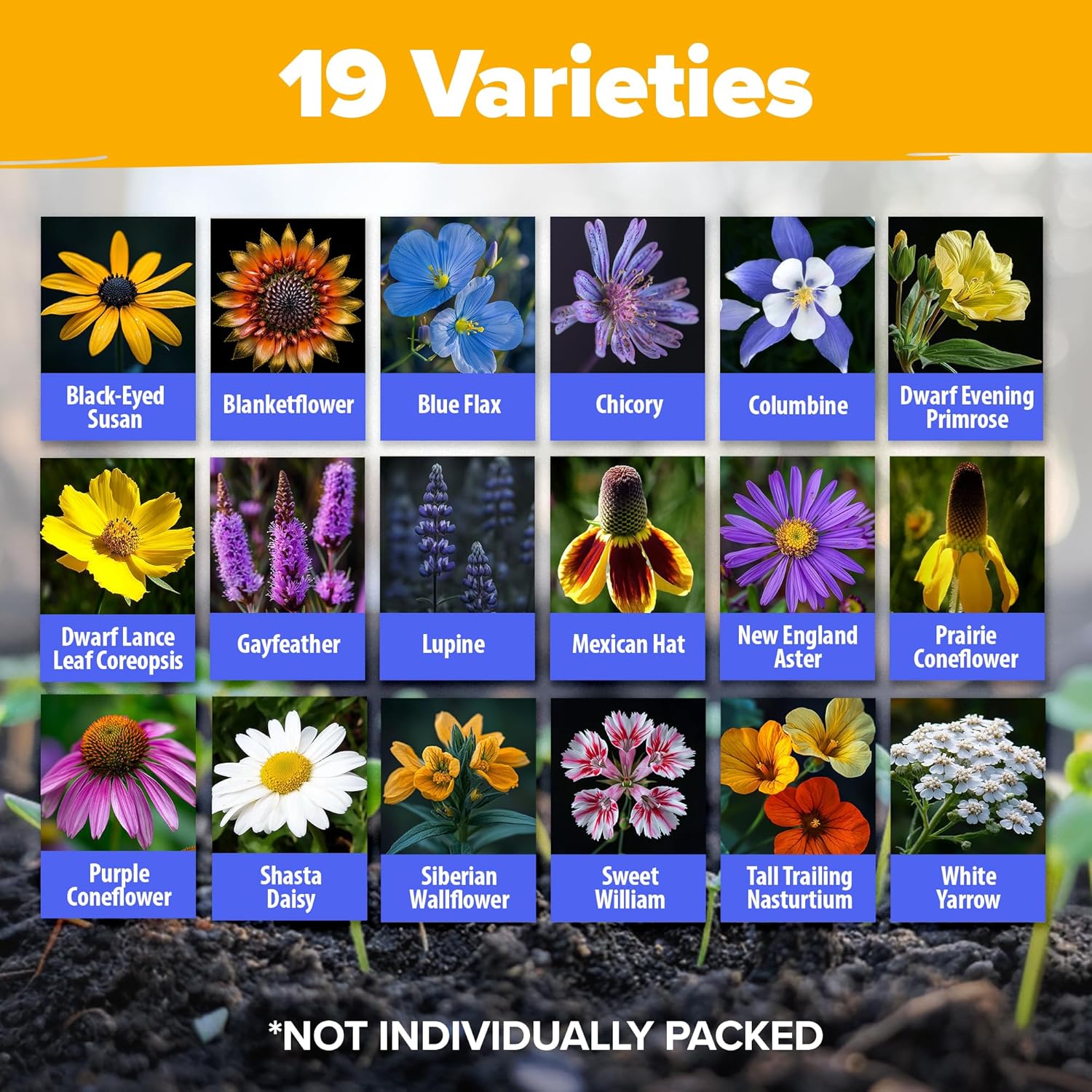 HOME GROWN Wildflower Seeds Mix - 47,400+ Non-GMO - 19 Perennial Flower Varieties for Planting Outdoors - Attract Butterflies & Birds - 3oz Wild Flower Seed Mix