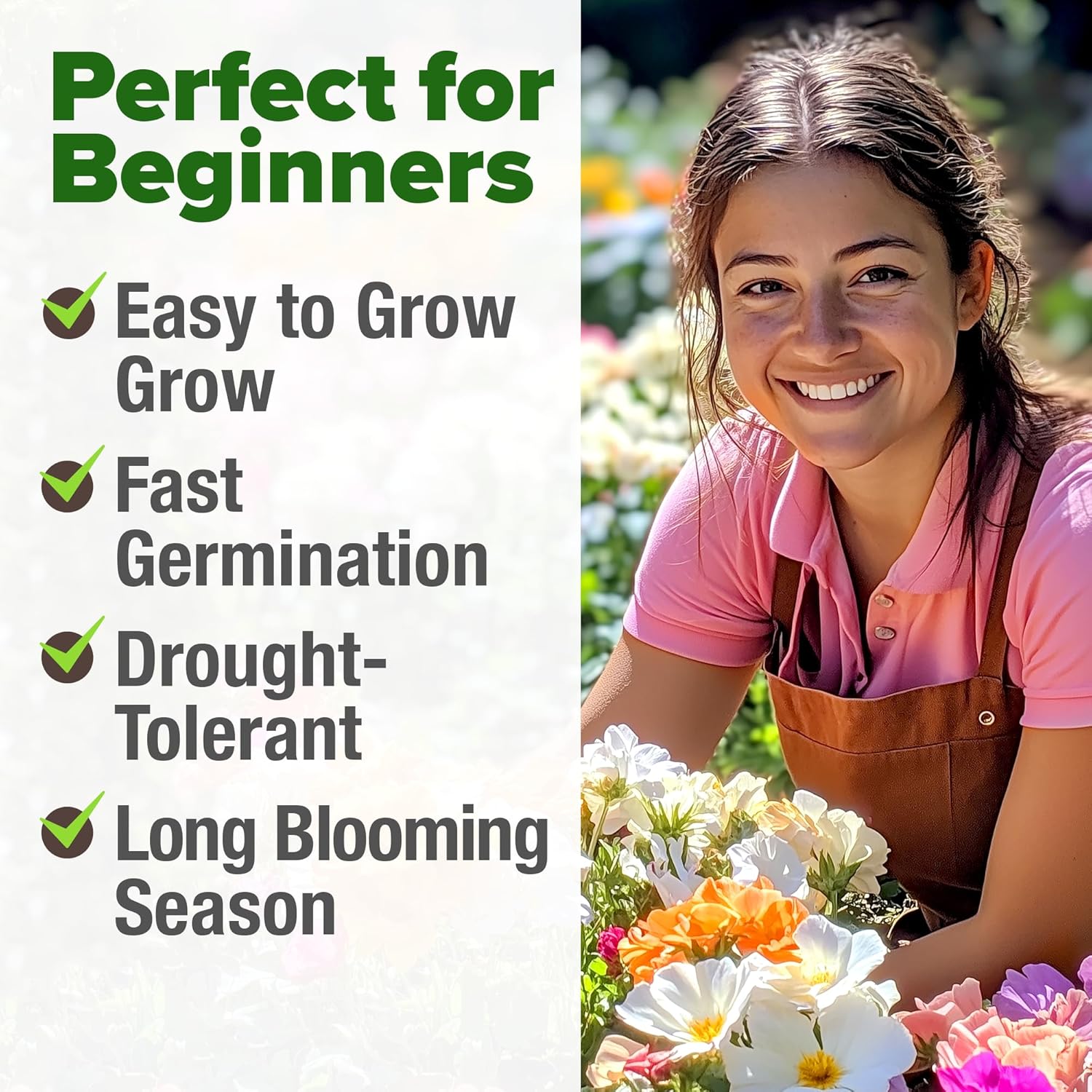 HOME GROWN English Lavender Seeds 1,500+ Non GMO Wildflower Seed for Planting Indoor/Outdoor, High Germination, Plant Flower Seeds (Lavandula antustifolia)