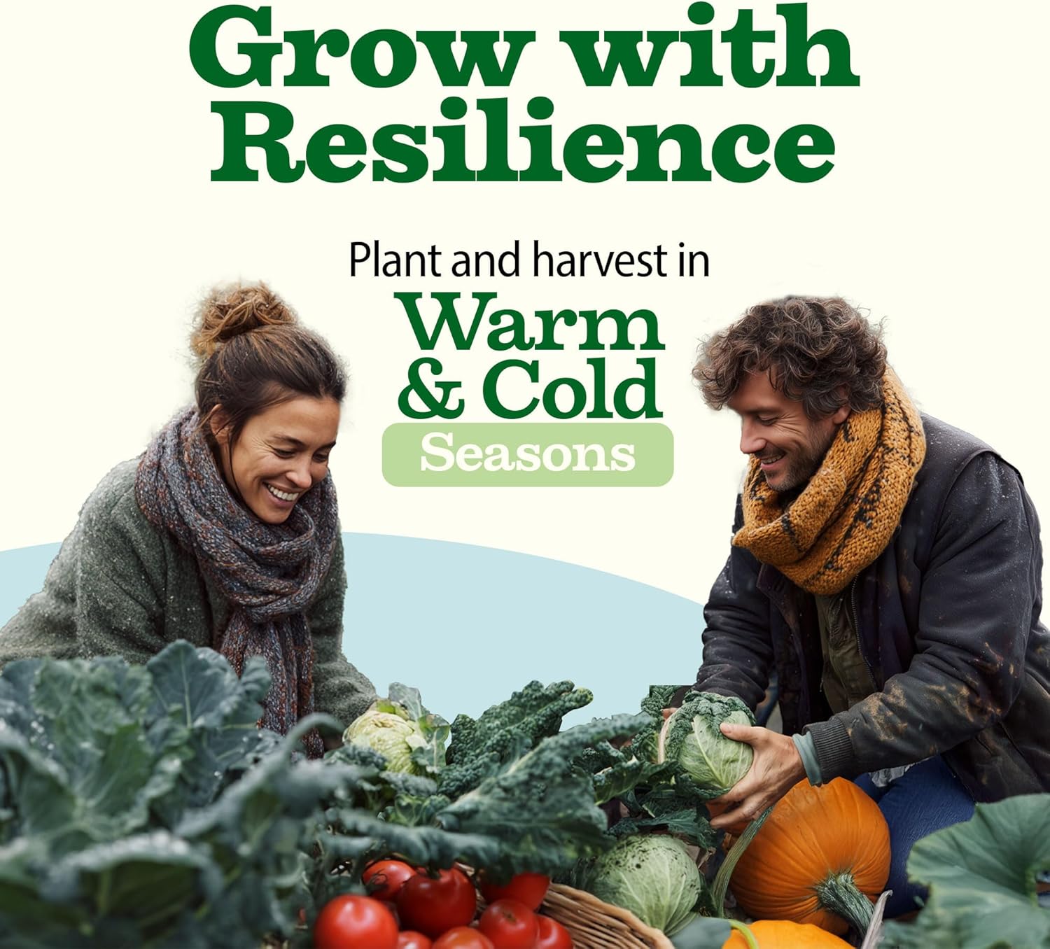 HOME GROWN Arugula Seed 2 Pack – 4350 Vegetable Seeds – Non GMO Ideal Seeds for Hydroponic Garden Indoor – Premium and Heirloom Arugula Seeds for Planting (Eruca vesicaria)