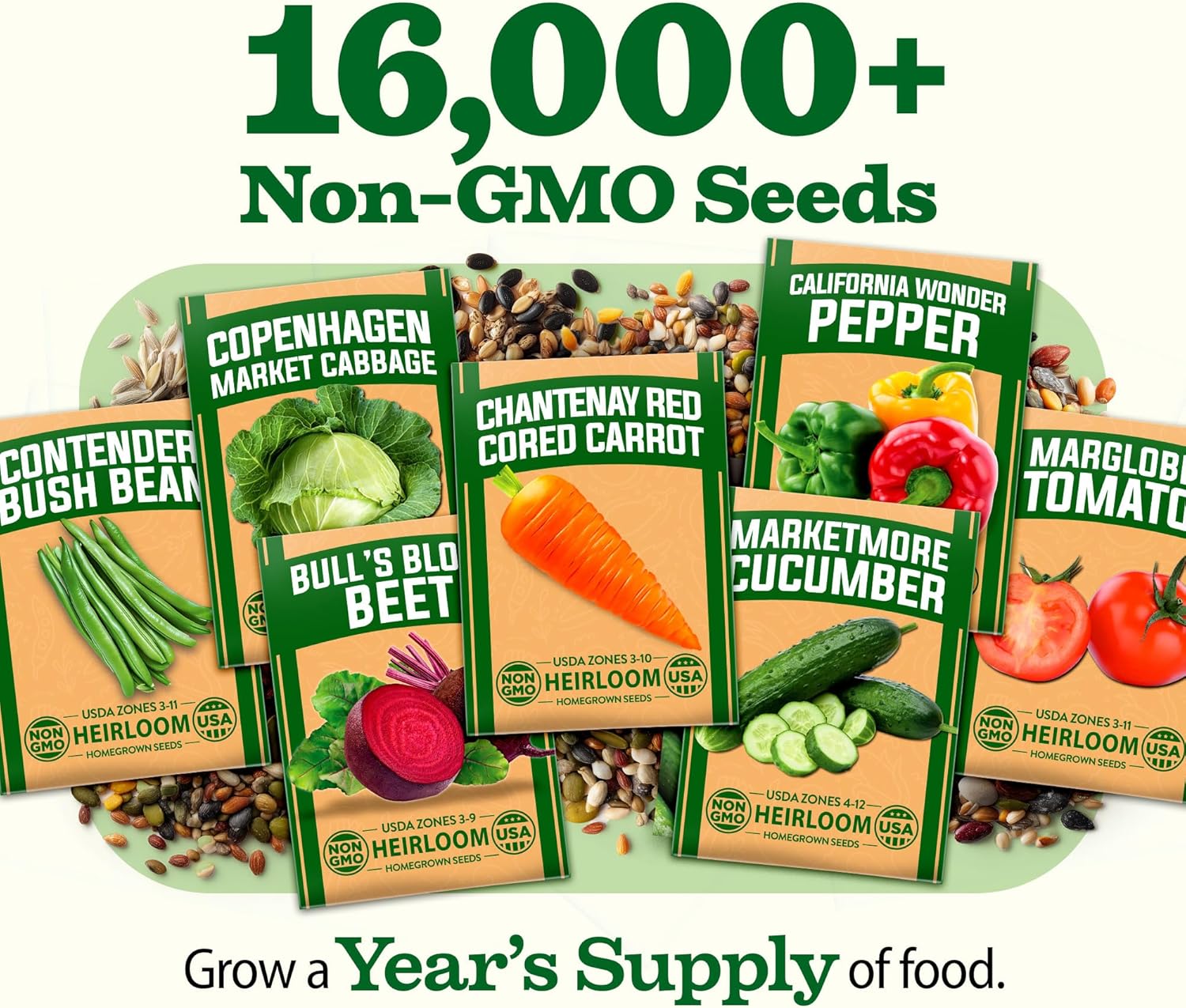 HOME GROWN Arugula Seed 2 Pack – 4350 Vegetable Seeds – Non GMO Ideal Seeds for Hydroponic Garden Indoor – Premium and Heirloom Arugula Seeds for Planting (Eruca vesicaria)