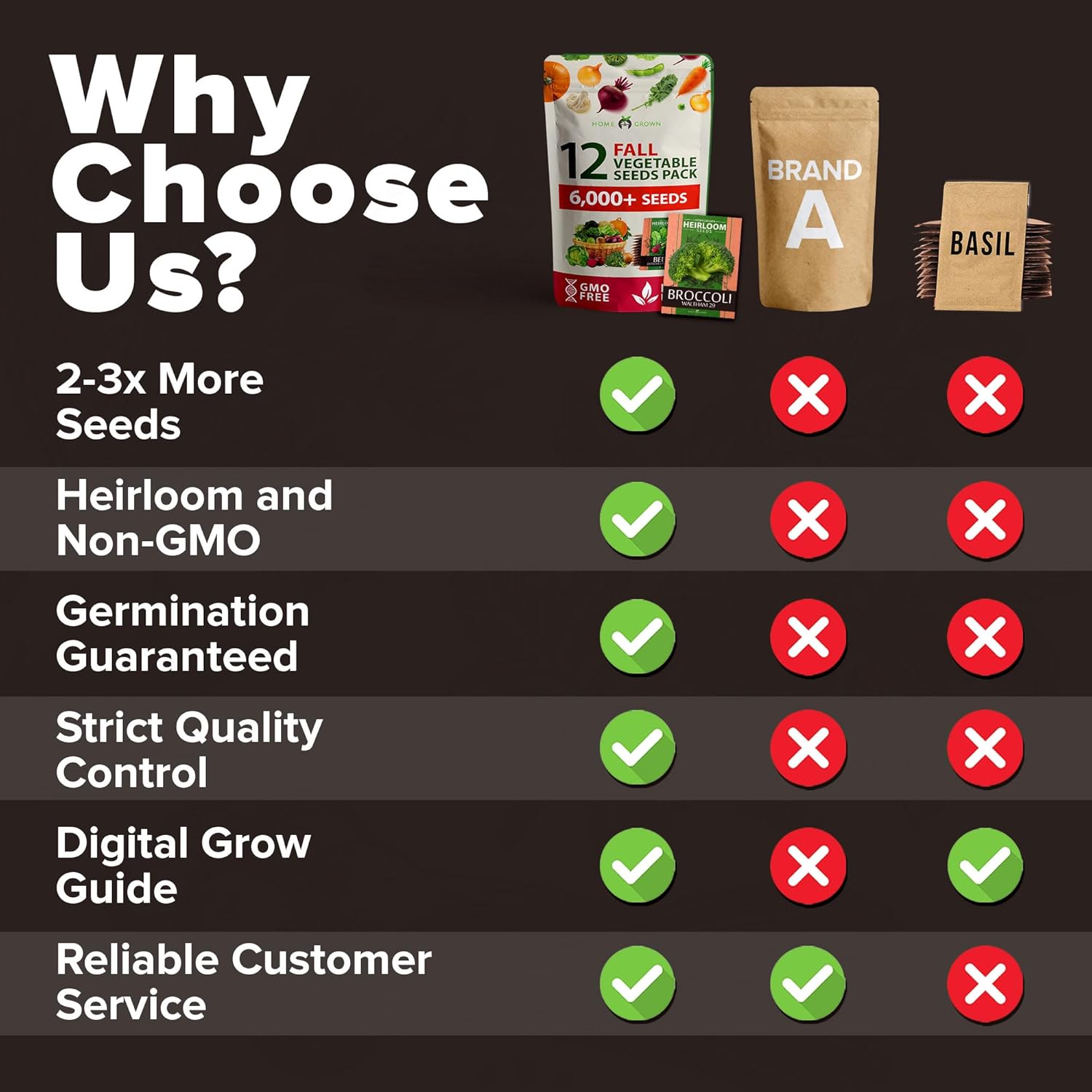 HOME GROWN Arugula Seed 2 Pack – 4350 Vegetable Seeds – Non GMO Ideal Seeds for Hydroponic Garden Indoor – Premium and Heirloom Arugula Seeds for Planting (Eruca vesicaria)