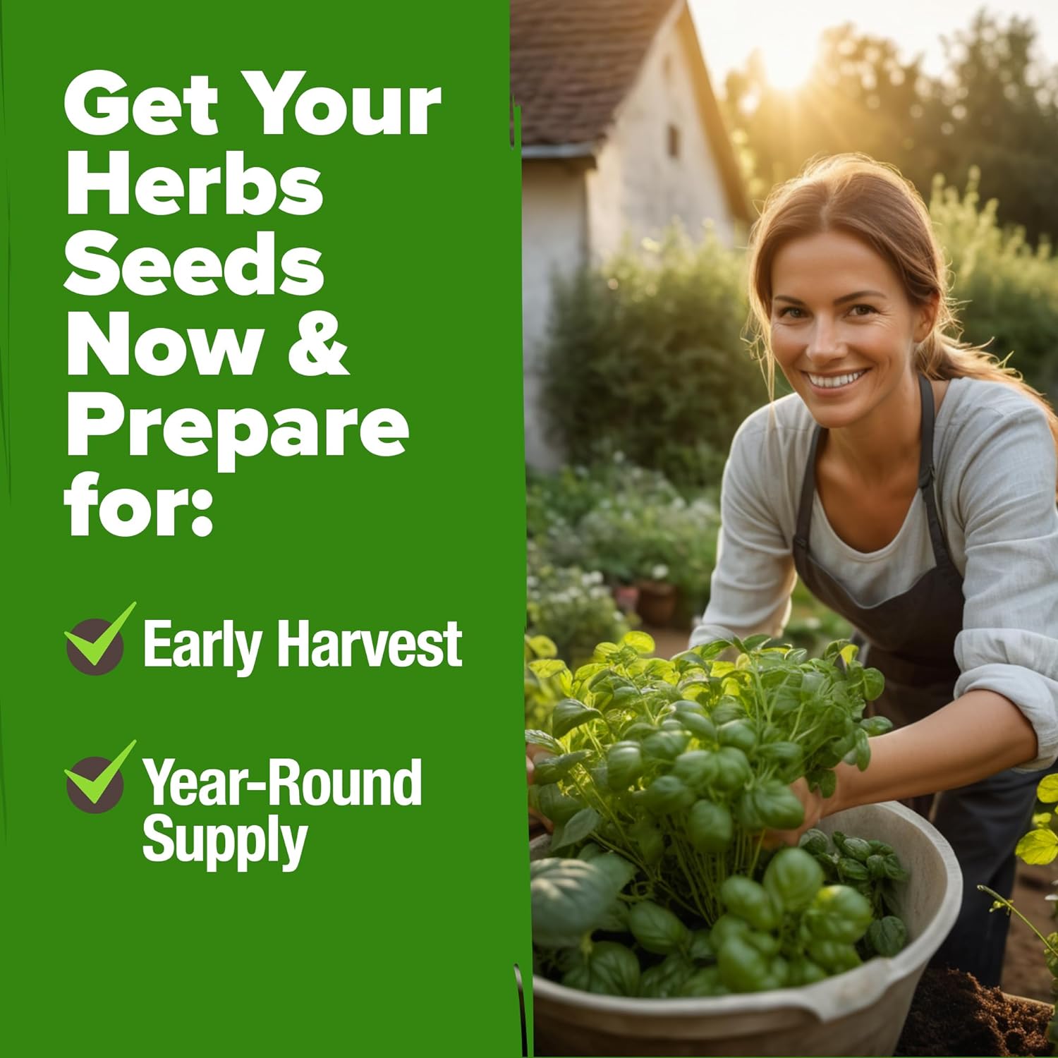 HOME GROWN Arugula Seed 2 Pack – 4350 Vegetable Seeds – Non GMO Ideal Seeds for Hydroponic Garden Indoor – Premium and Heirloom Arugula Seeds for Planting (Eruca vesicaria)