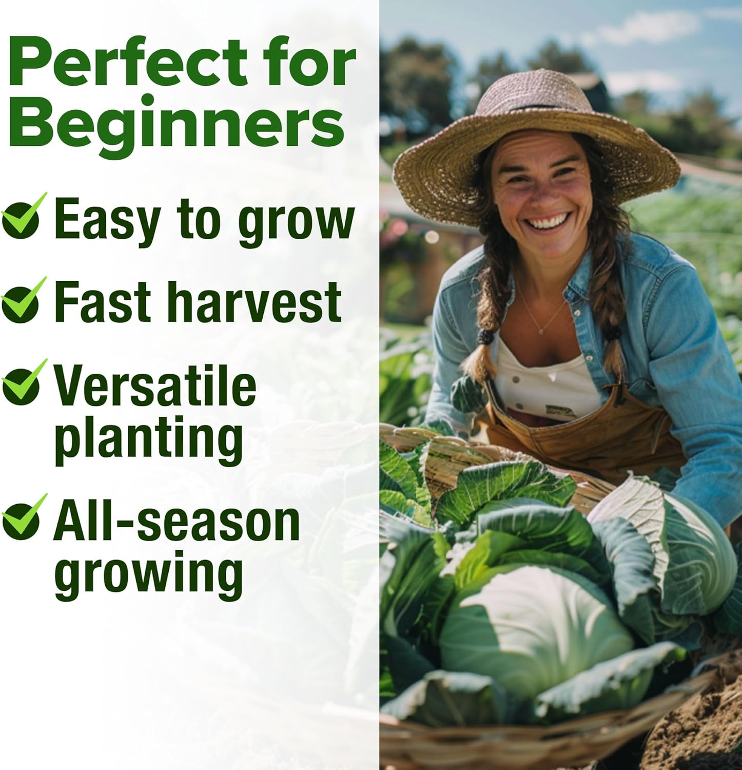 HOME GROWN Arugula Seed 2 Pack – 4350 Vegetable Seeds – Non GMO Ideal Seeds for Hydroponic Garden Indoor – Premium and Heirloom Arugula Seeds for Planting (Eruca vesicaria)