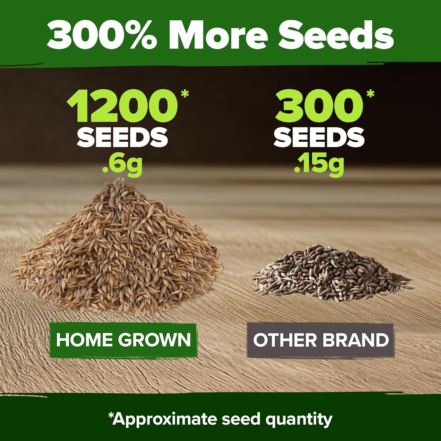 HOME GROWN Arugula Seed 2 Pack – 4350 Vegetable Seeds – Non GMO Ideal Seeds for Hydroponic Garden Indoor – Premium and Heirloom Arugula Seeds for Planting (Eruca vesicaria)