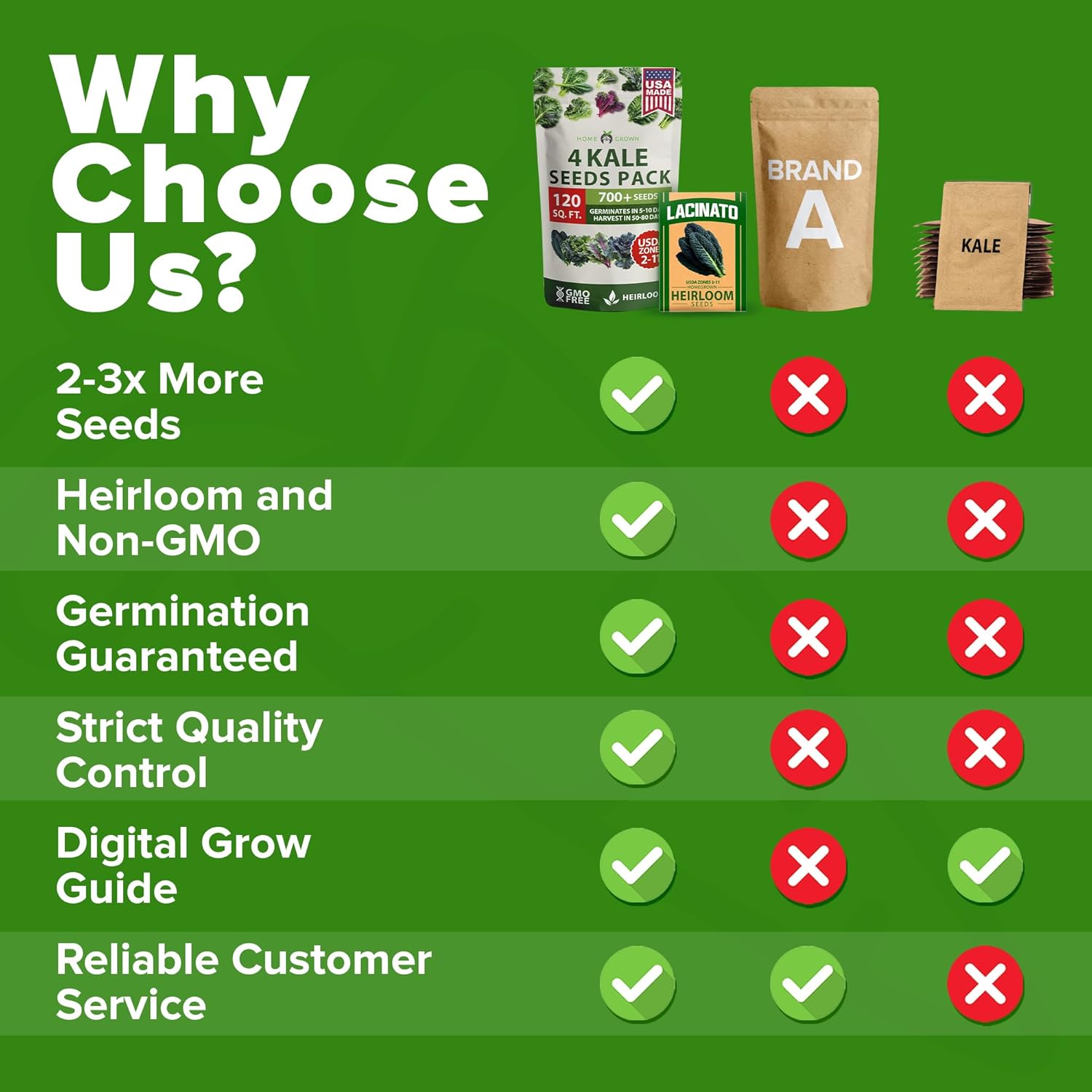 HOME GROWN Arugula Seed 2 Pack – 4350 Vegetable Seeds – Non GMO Ideal Seeds for Hydroponic Garden Indoor – Premium and Heirloom Arugula Seeds for Planting (Eruca vesicaria)