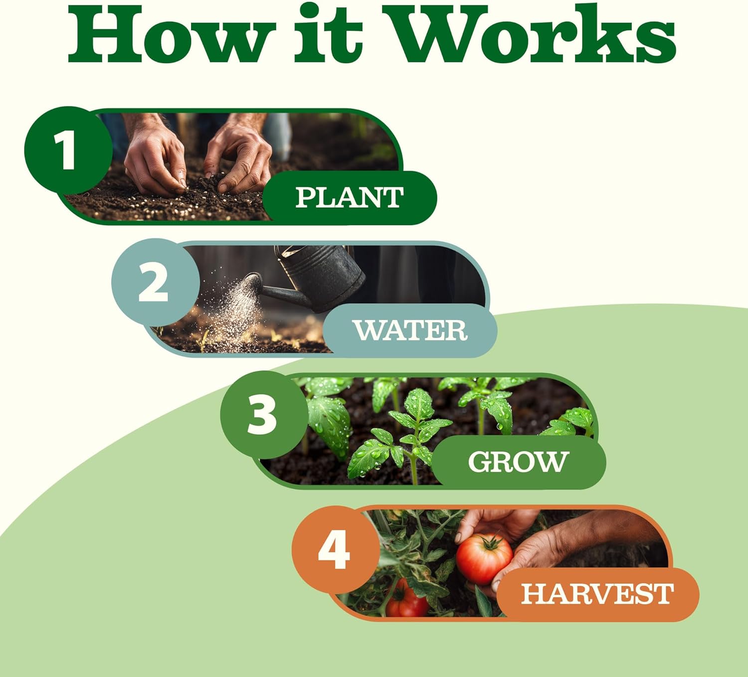 HOME GROWN Arugula Seed 2 Pack – 4350 Vegetable Seeds – Non GMO Ideal Seeds for Hydroponic Garden Indoor – Premium and Heirloom Arugula Seeds for Planting (Eruca vesicaria)