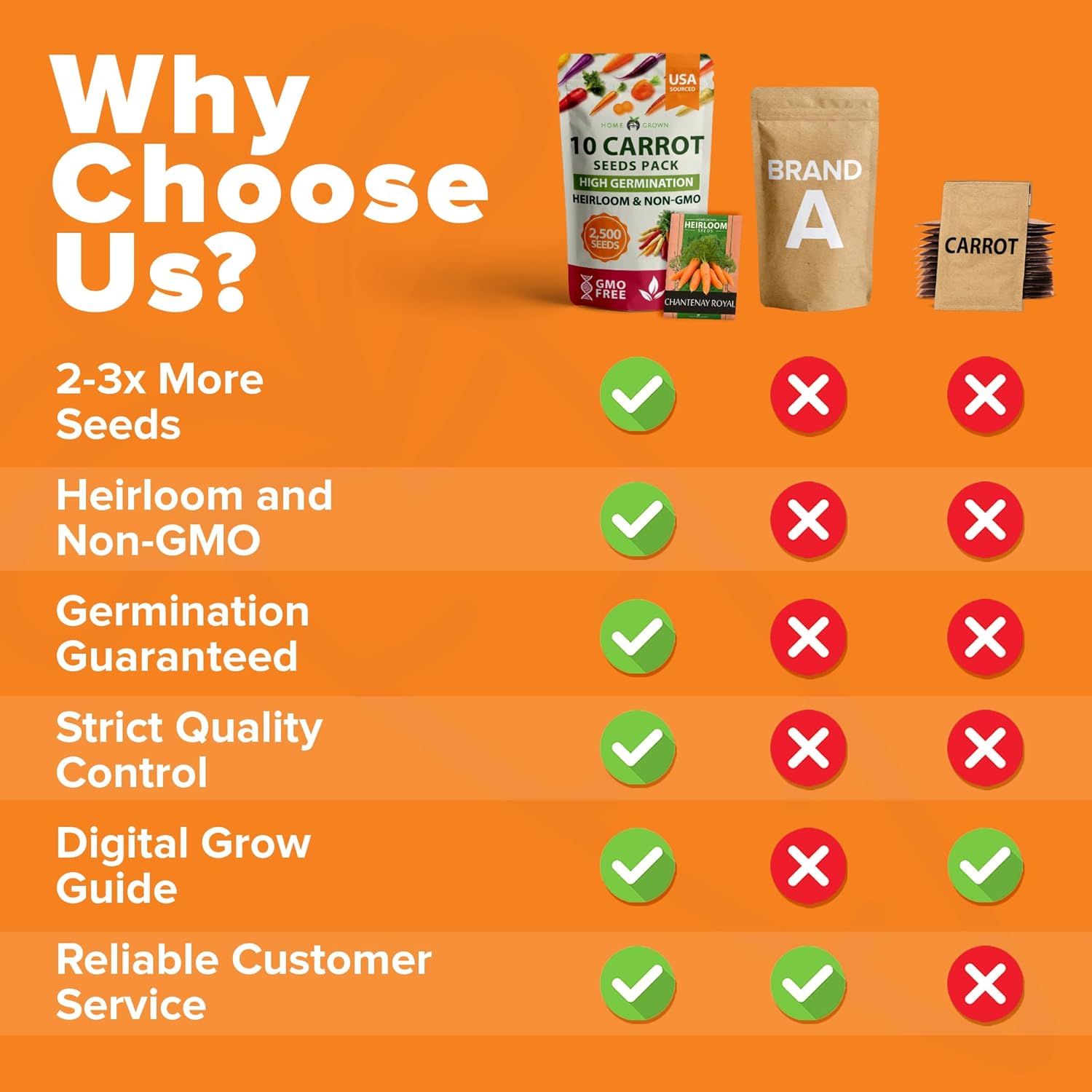 HOME GROWN Arugula Seed 2 Pack – 4350 Vegetable Seeds – Non GMO Ideal Seeds for Hydroponic Garden Indoor – Premium and Heirloom Arugula Seeds for Planting (Eruca vesicaria)