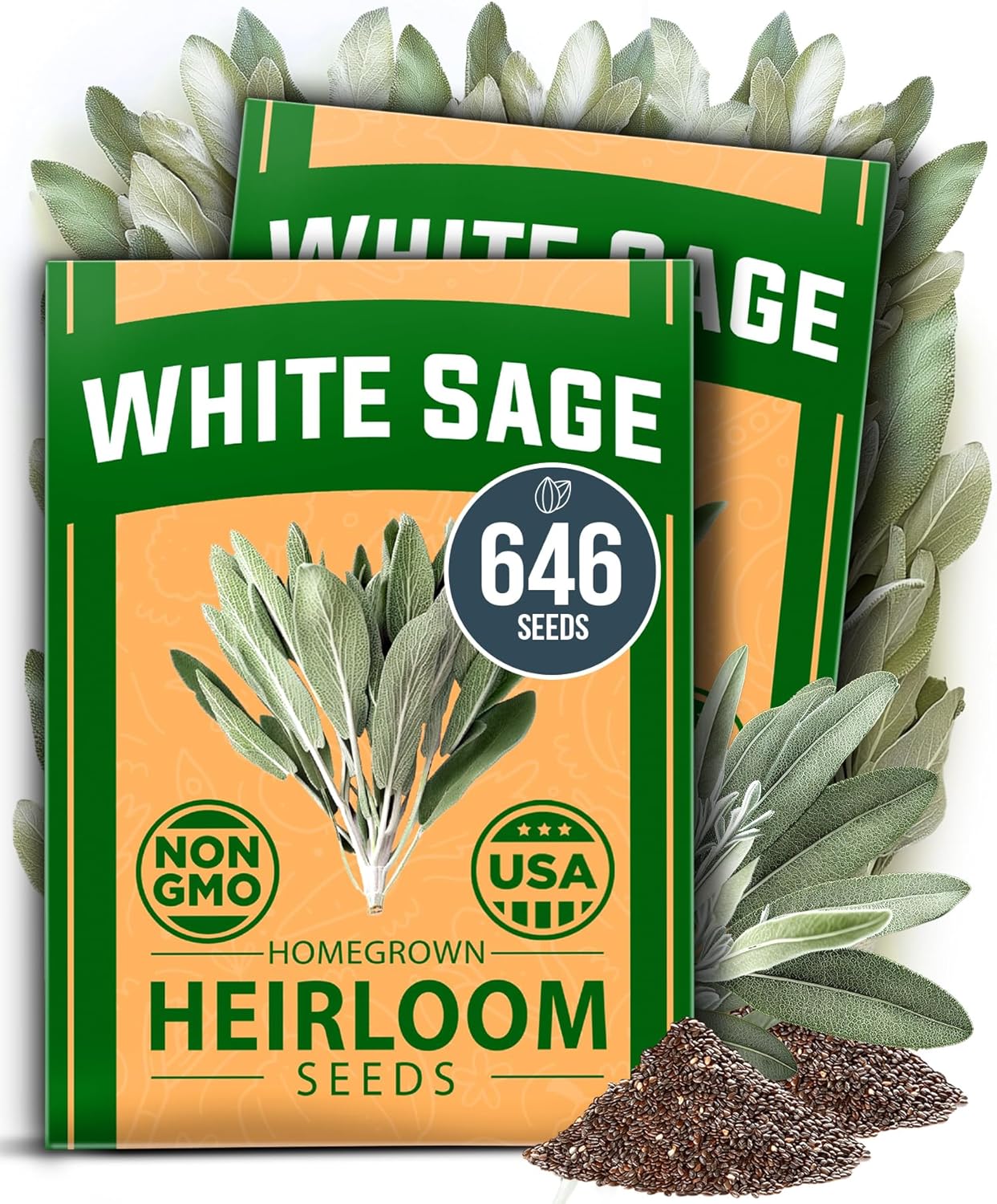 HOME GROWN Arugula Seed 2 Pack – 4350 Vegetable Seeds – Non GMO Ideal Seeds for Hydroponic Garden Indoor – Premium and Heirloom Arugula Seeds for Planting (Eruca vesicaria)