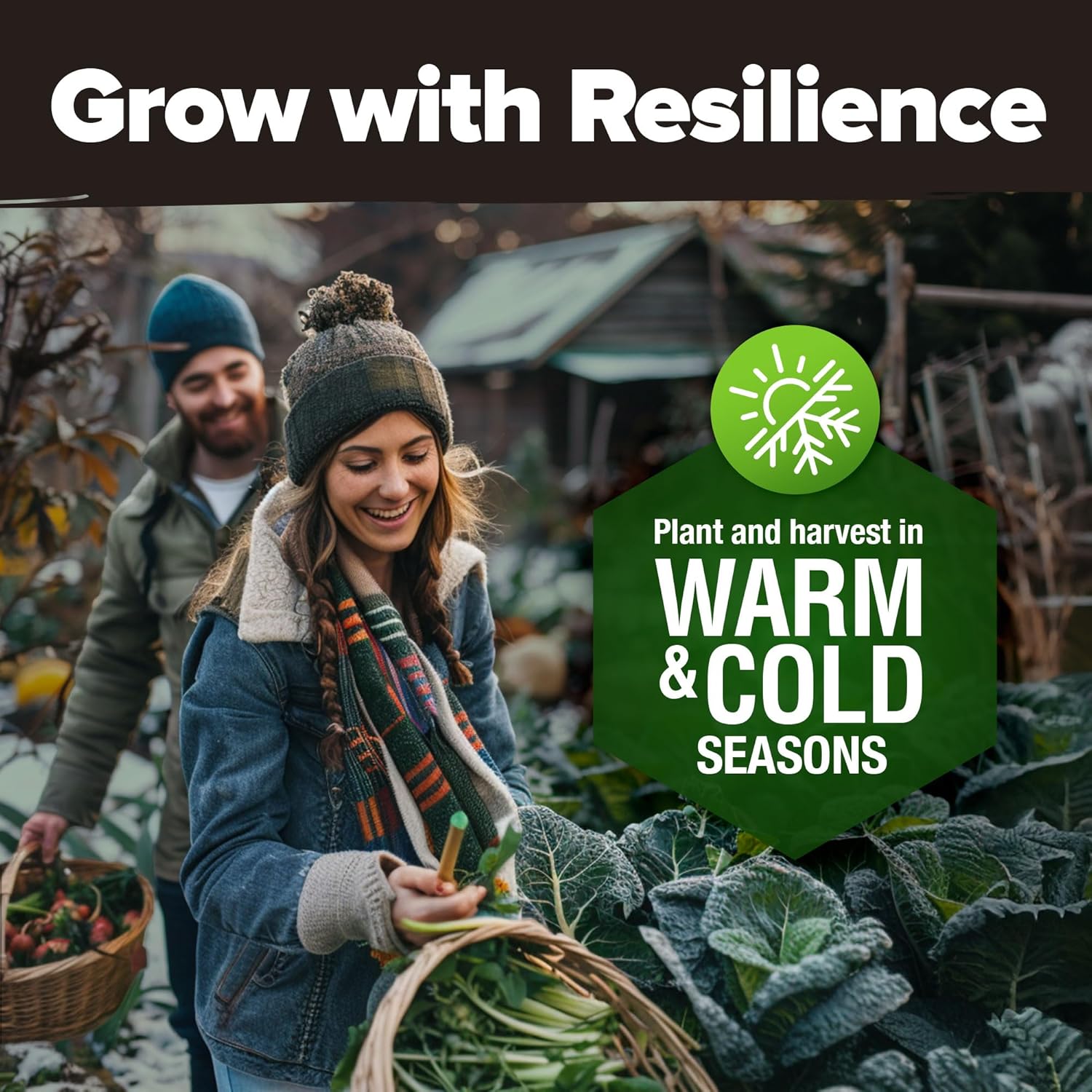 HOME GROWN Arugula Seed 2 Pack – 4350 Vegetable Seeds – Non GMO Ideal Seeds for Hydroponic Garden Indoor – Premium and Heirloom Arugula Seeds for Planting (Eruca vesicaria)