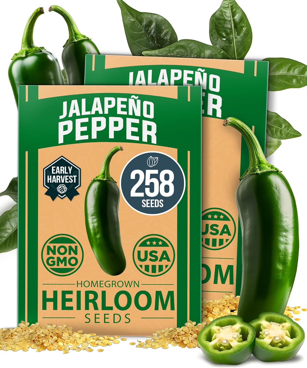 HOME GROWN Arugula Seed 2 Pack – 4350 Vegetable Seeds – Non GMO Ideal Seeds for Hydroponic Garden Indoor – Premium and Heirloom Arugula Seeds for Planting (Eruca vesicaria)