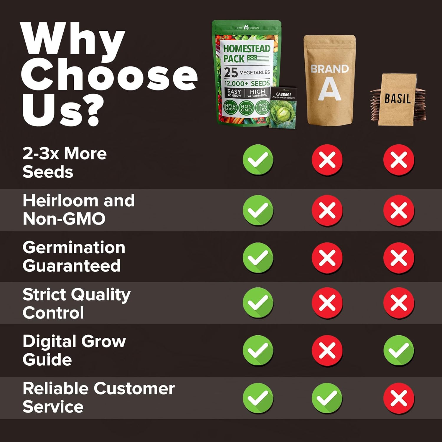 HOME GROWN Arugula Seed 2 Pack – 4350 Vegetable Seeds – Non GMO Ideal Seeds for Hydroponic Garden Indoor – Premium and Heirloom Arugula Seeds for Planting (Eruca vesicaria)