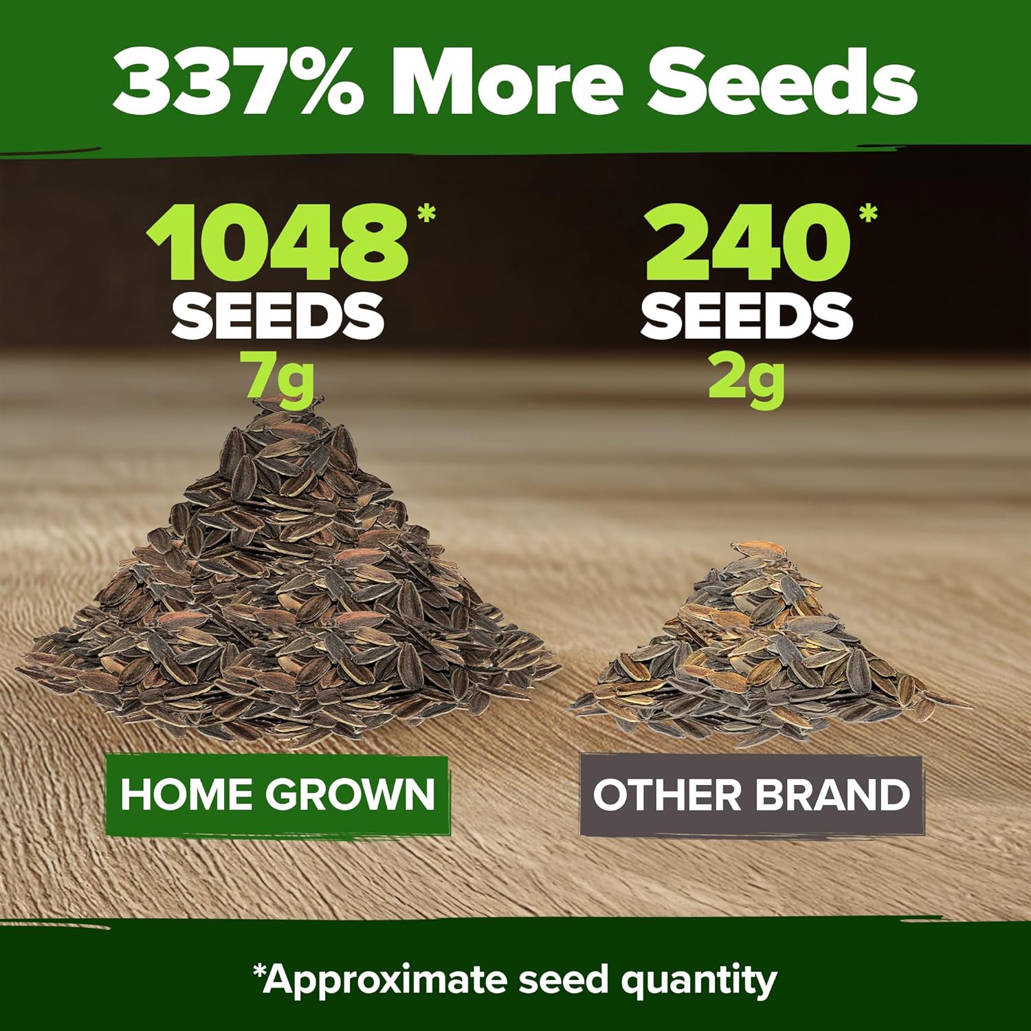 HOME GROWN Arugula Seed 2 Pack – 4350 Vegetable Seeds – Non GMO Ideal Seeds for Hydroponic Garden Indoor – Premium and Heirloom Arugula Seeds for Planting (Eruca vesicaria)