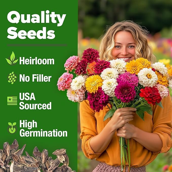 HOME GROWN Arugula Seed 2 Pack – 4350 Vegetable Seeds – Non GMO Ideal Seeds for Hydroponic Garden Indoor – Premium and Heirloom Arugula Seeds for Planting (Eruca vesicaria)