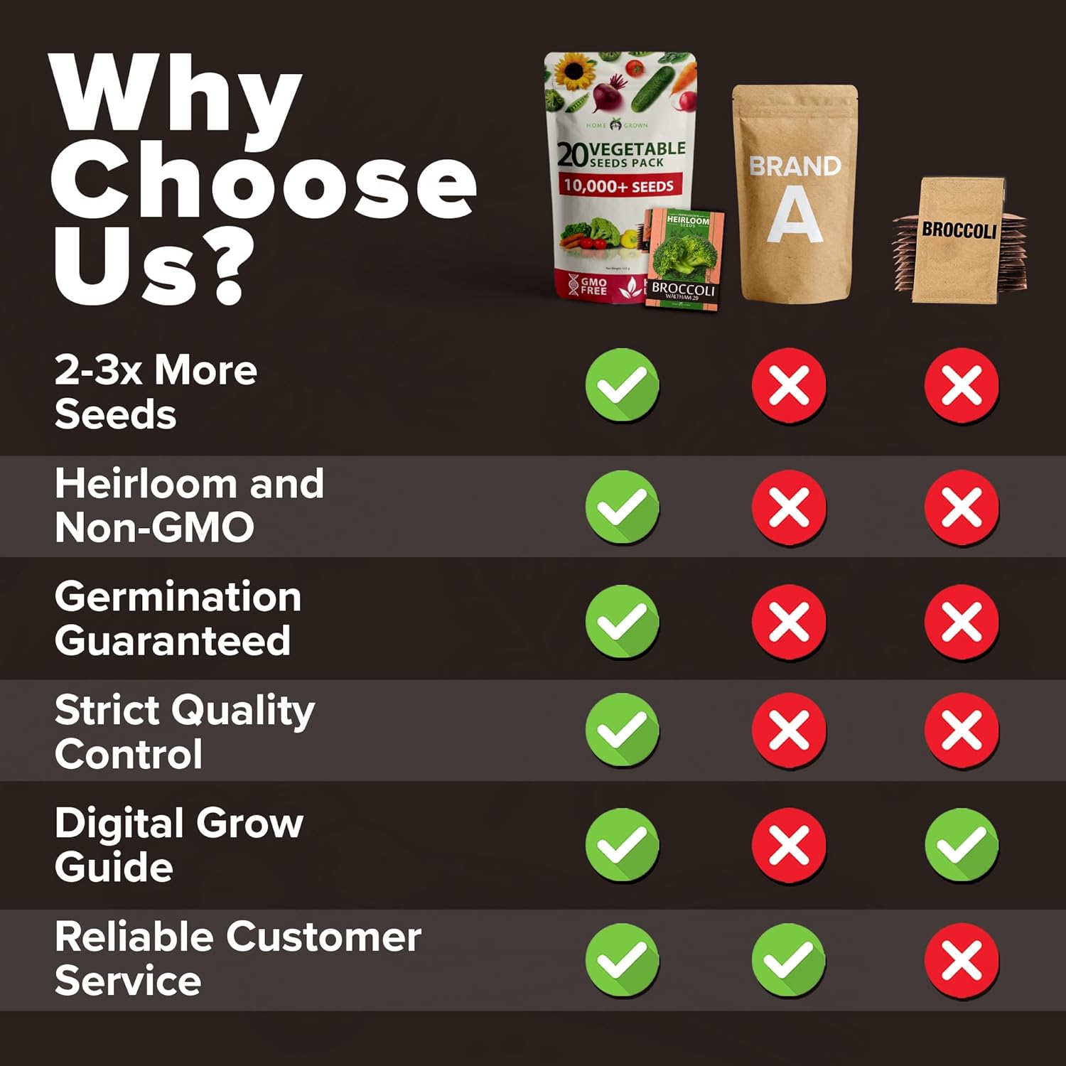 HOME GROWN Arugula Seed 2 Pack – 4350 Vegetable Seeds – Non GMO Ideal Seeds for Hydroponic Garden Indoor – Premium and Heirloom Arugula Seeds for Planting (Eruca vesicaria)