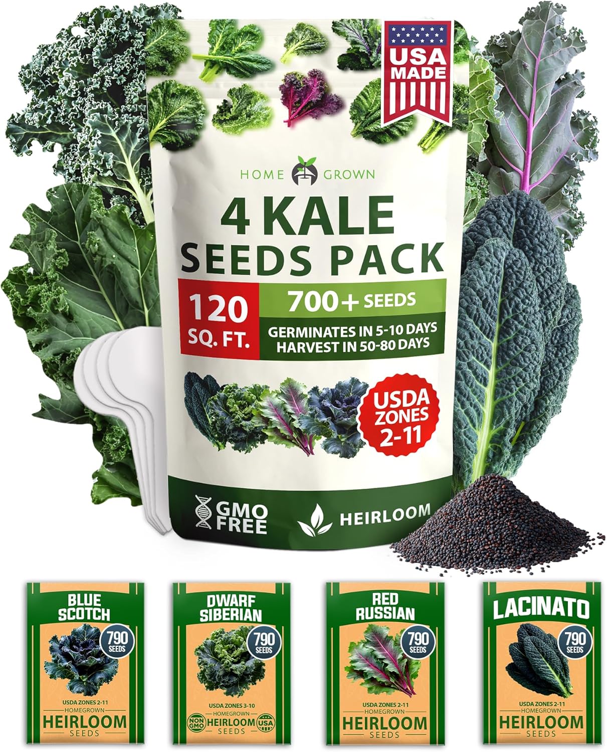 HOME GROWN Arugula Seed 2 Pack – 4350 Vegetable Seeds – Non GMO Ideal Seeds for Hydroponic Garden Indoor – Premium and Heirloom Arugula Seeds for Planting (Eruca vesicaria)