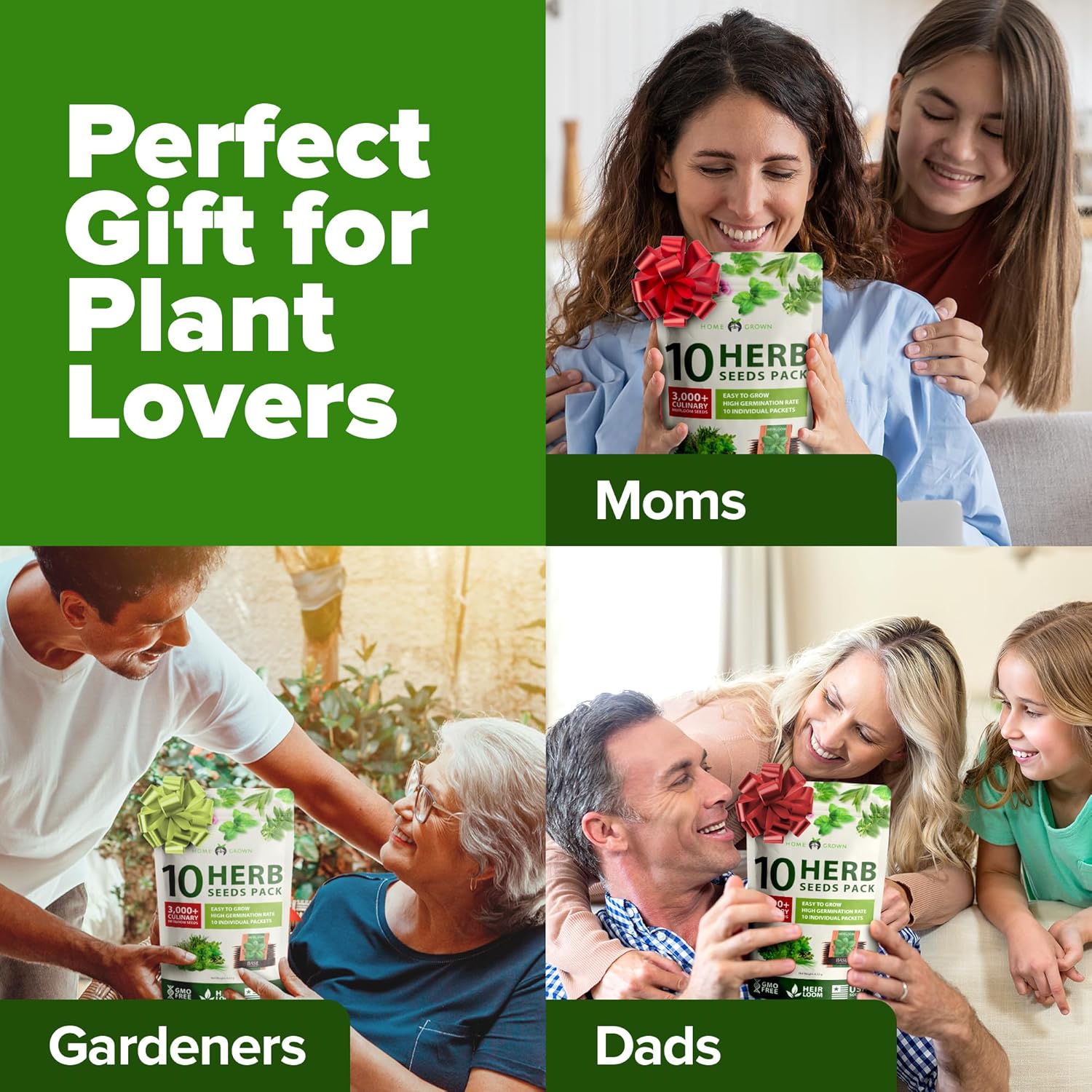 HOME GROWN Arugula Seed 2 Pack – 4350 Vegetable Seeds – Non GMO Ideal Seeds for Hydroponic Garden Indoor – Premium and Heirloom Arugula Seeds for Planting (Eruca vesicaria)