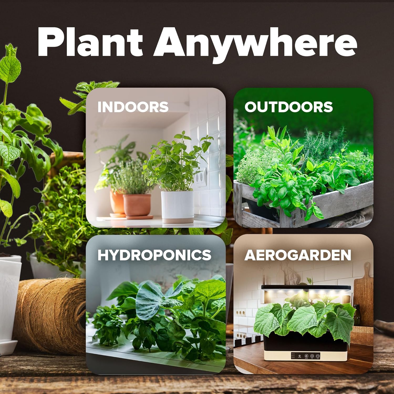 HOME GROWN Arugula Seed 2 Pack – 4350 Vegetable Seeds – Non GMO Ideal Seeds for Hydroponic Garden Indoor – Premium and Heirloom Arugula Seeds for Planting (Eruca vesicaria)