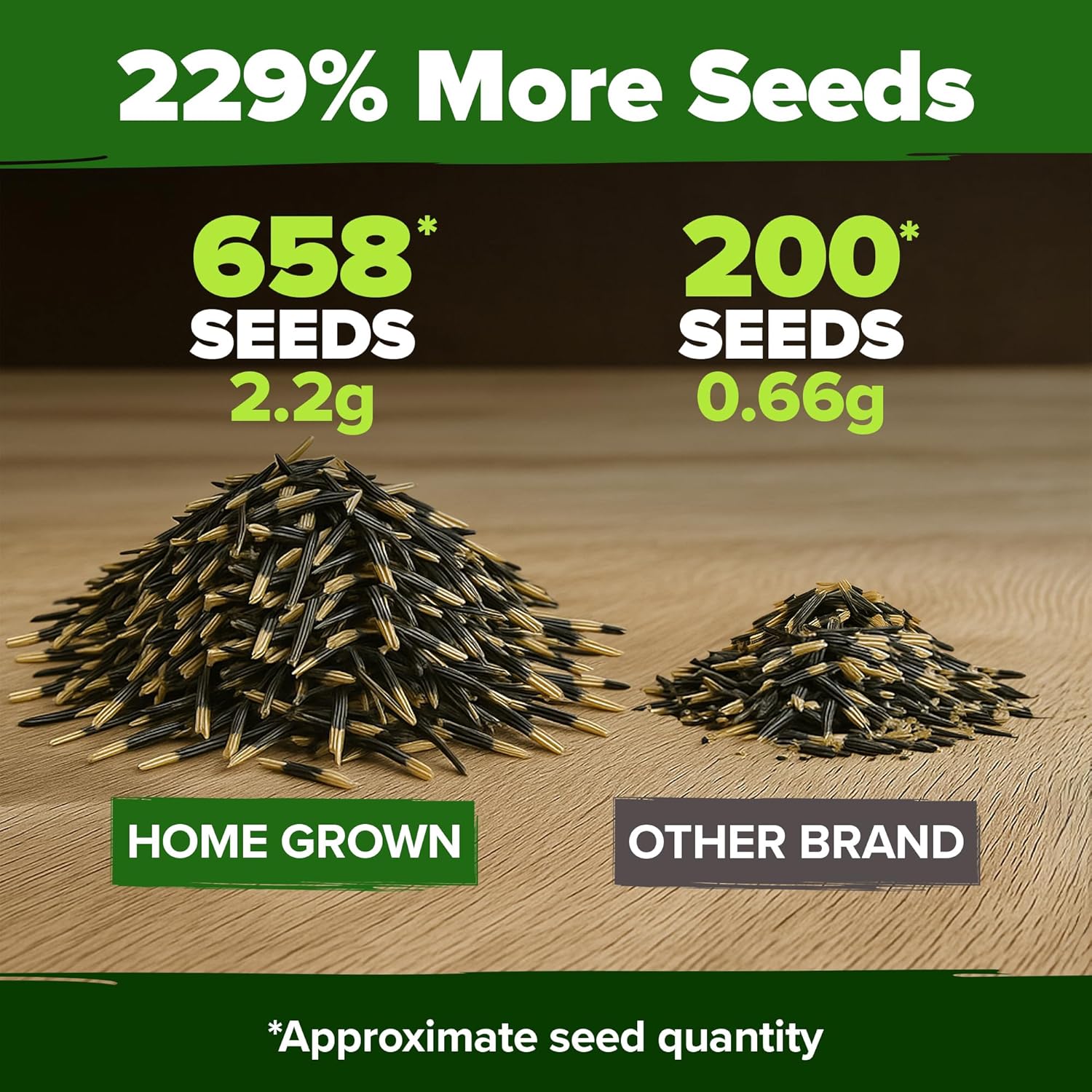 HOME GROWN Arugula Seed 2 Pack – 4350 Vegetable Seeds – Non GMO Ideal Seeds for Hydroponic Garden Indoor – Premium and Heirloom Arugula Seeds for Planting (Eruca vesicaria)