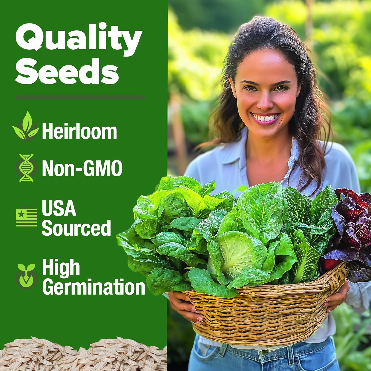 HOME GROWN Arugula Seed 2 Pack – 4350 Vegetable Seeds – Non GMO Ideal Seeds for Hydroponic Garden Indoor – Premium and Heirloom Arugula Seeds for Planting (Eruca vesicaria)