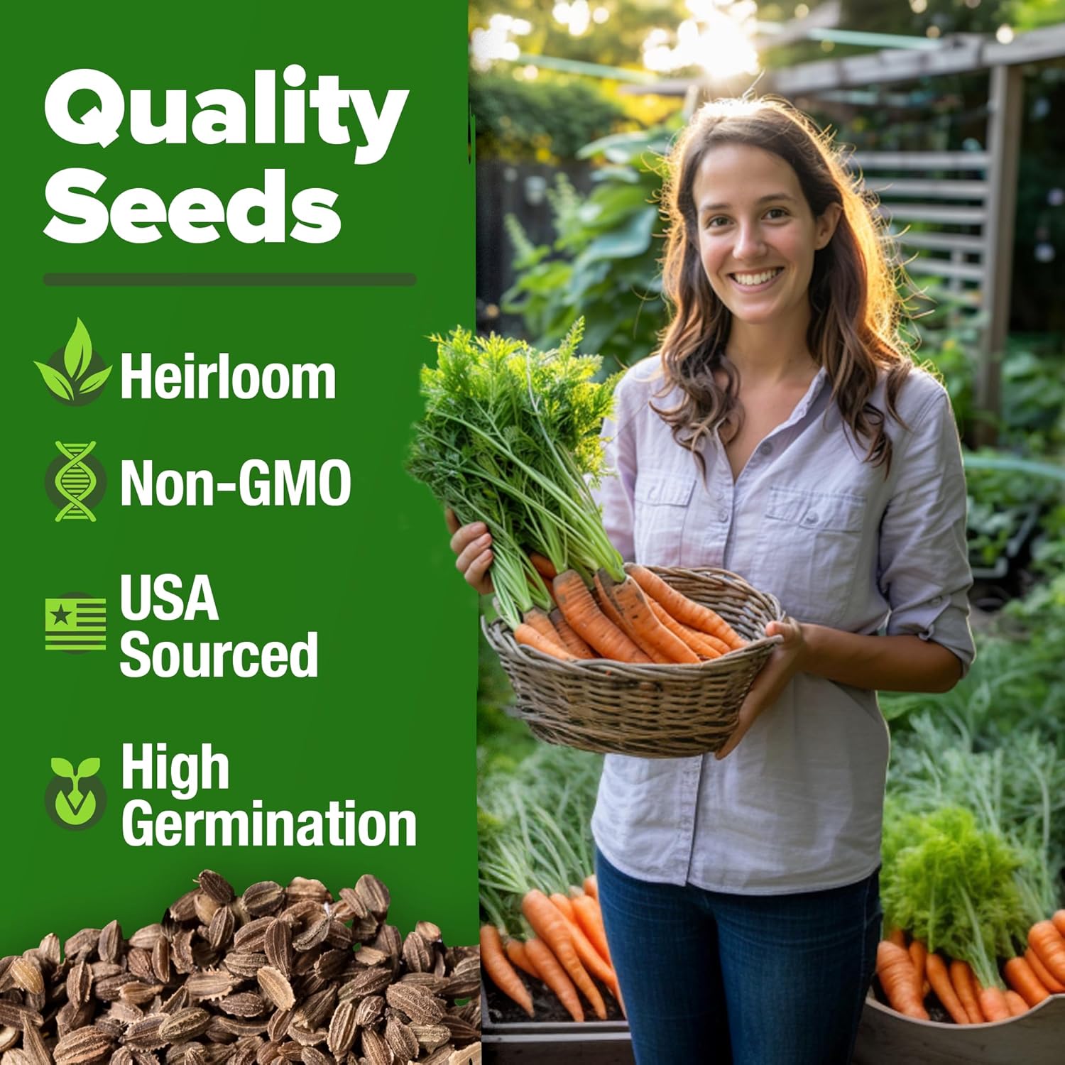 HOME GROWN Arugula Seed 2 Pack – 4350 Vegetable Seeds – Non GMO Ideal Seeds for Hydroponic Garden Indoor – Premium and Heirloom Arugula Seeds for Planting (Eruca vesicaria)