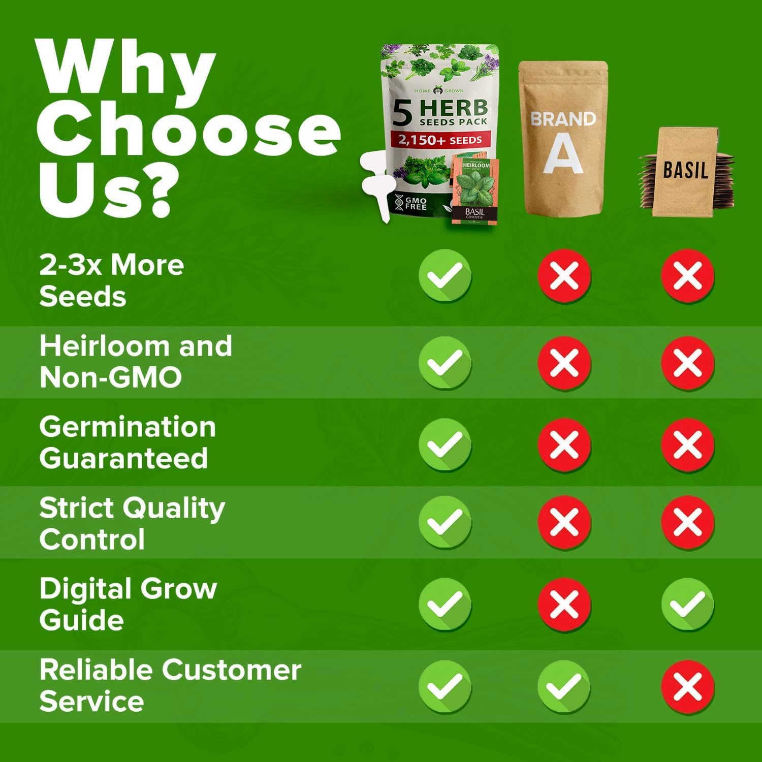 HOME GROWN Arugula Seed 2 Pack – 4350 Vegetable Seeds – Non GMO Ideal Seeds for Hydroponic Garden Indoor – Premium and Heirloom Arugula Seeds for Planting (Eruca vesicaria)