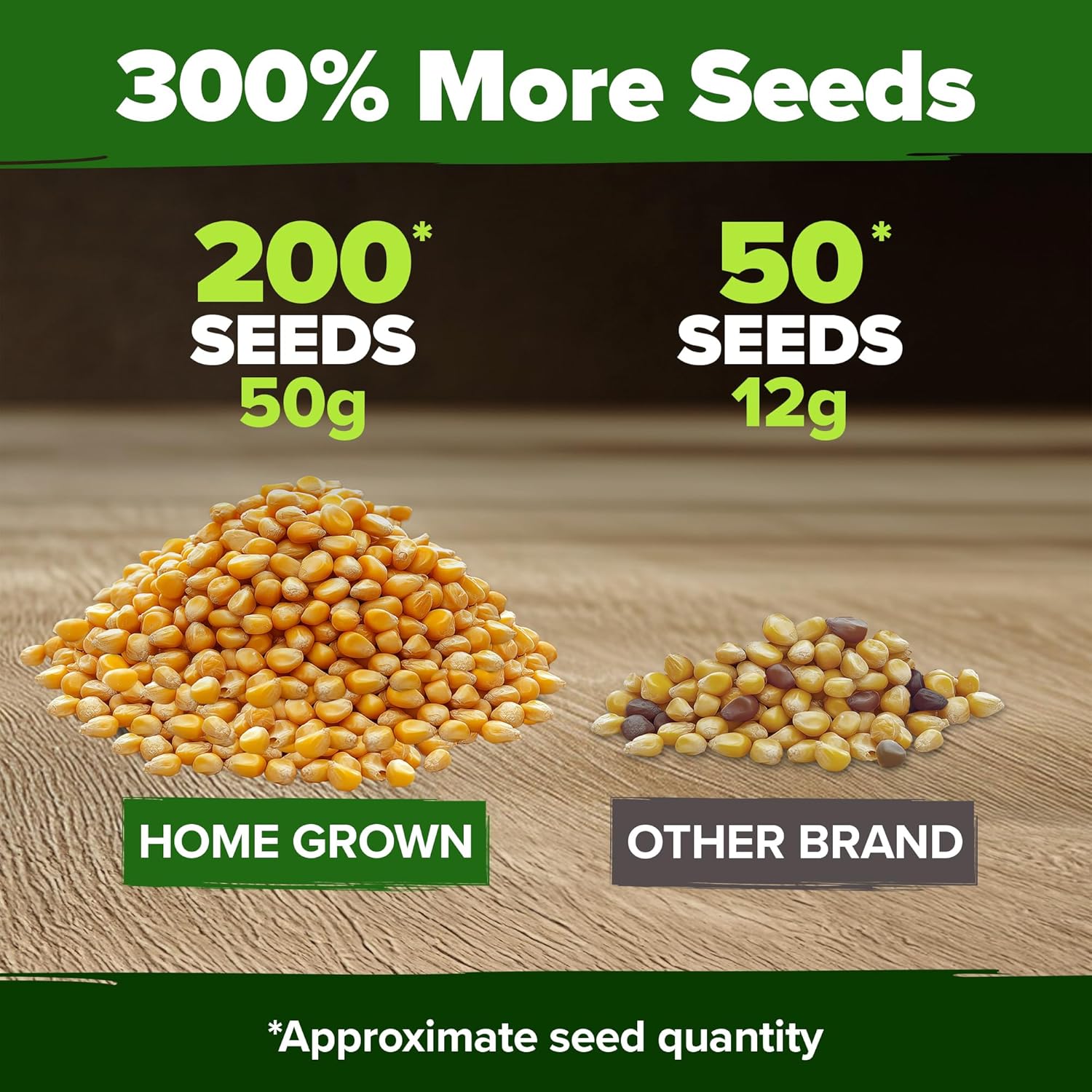 HOME GROWN Arugula Seed 2 Pack – 4350 Vegetable Seeds – Non GMO Ideal Seeds for Hydroponic Garden Indoor – Premium and Heirloom Arugula Seeds for Planting (Eruca vesicaria)