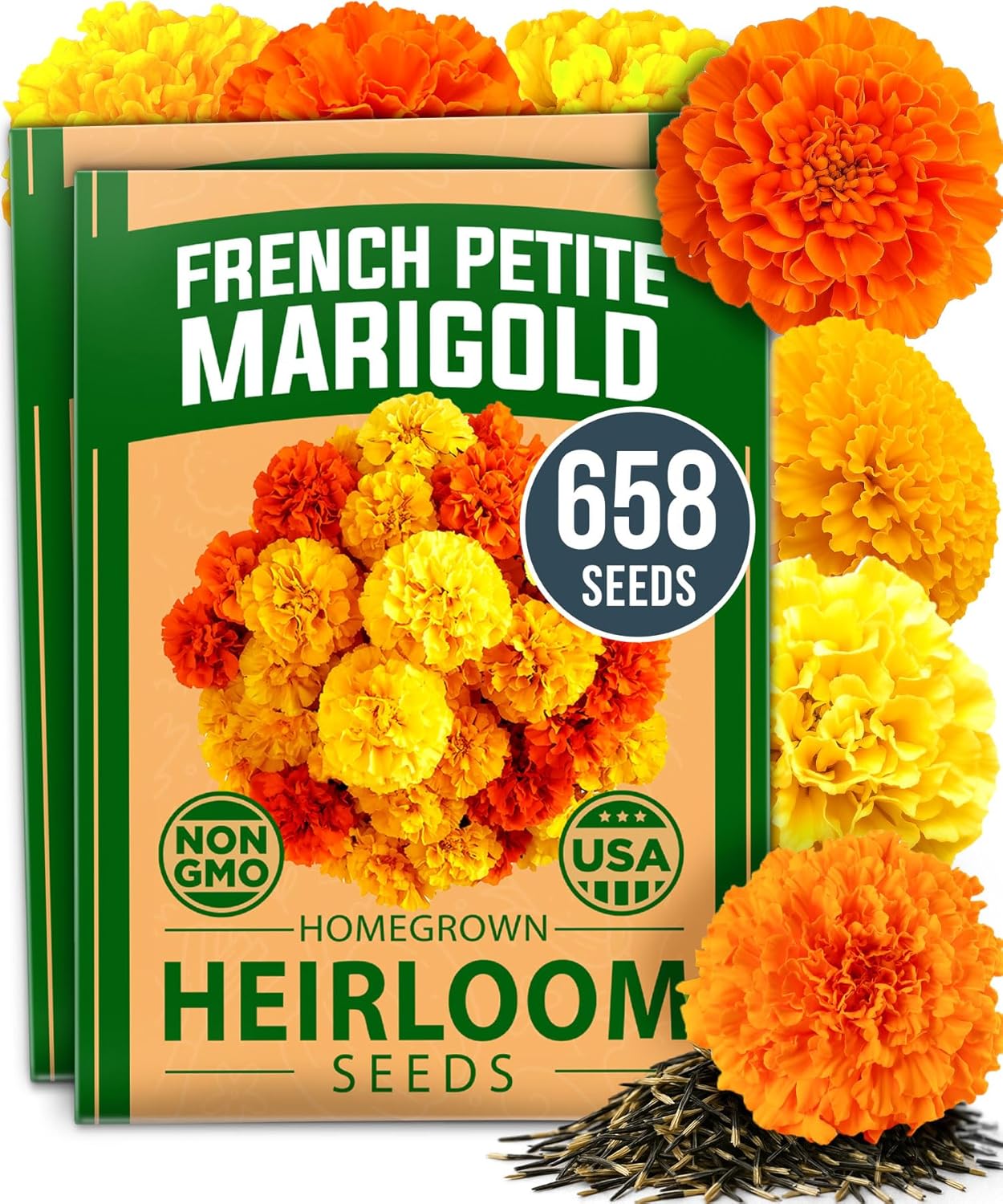 HOME GROWN Arugula Seed 2 Pack – 4350 Vegetable Seeds – Non GMO Ideal Seeds for Hydroponic Garden Indoor – Premium and Heirloom Arugula Seeds for Planting (Eruca vesicaria)